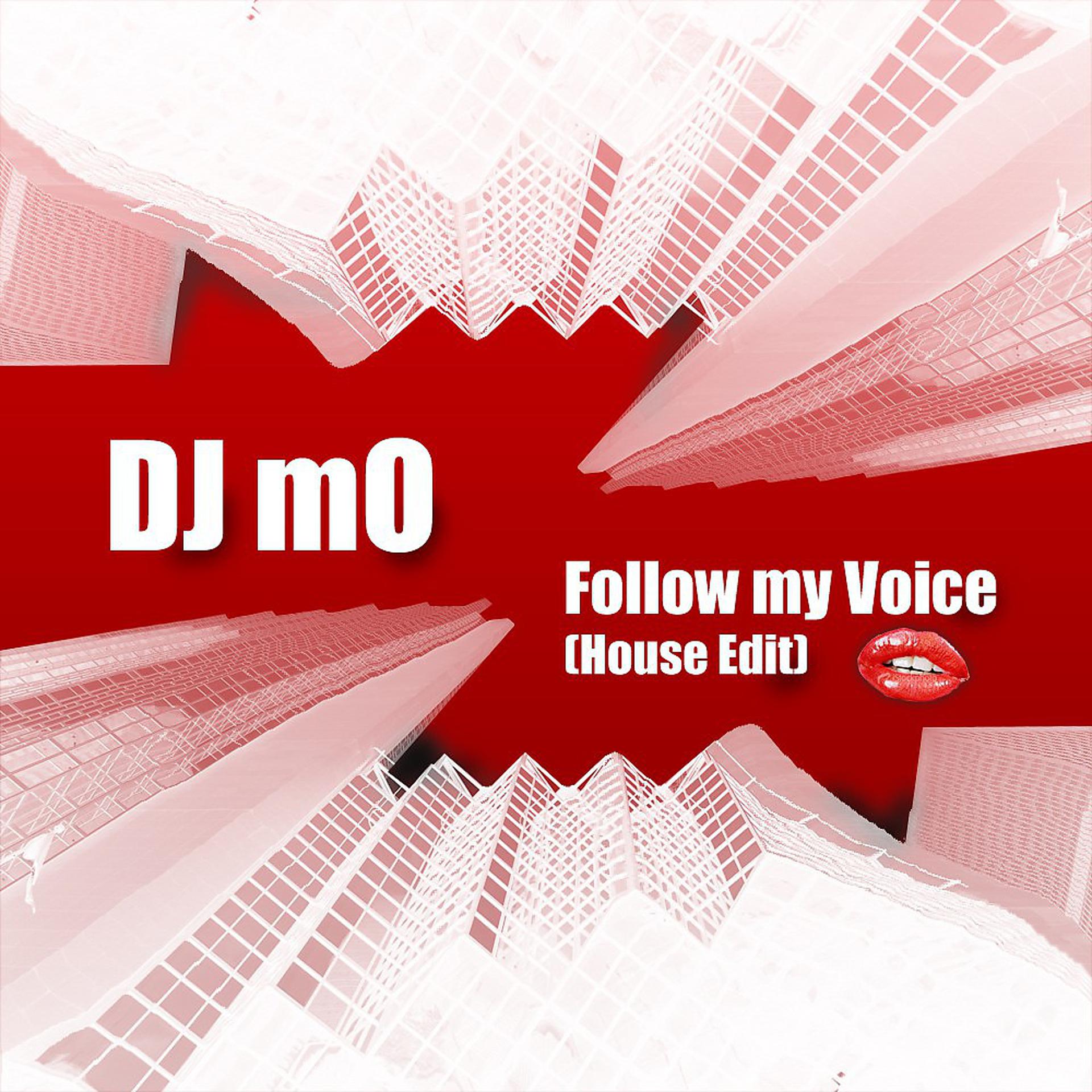 Постер альбома Follow My Voice (House Edit)