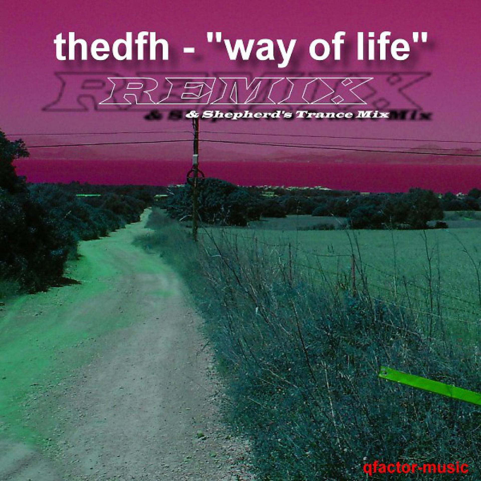 Постер альбома Way of Life - Remix