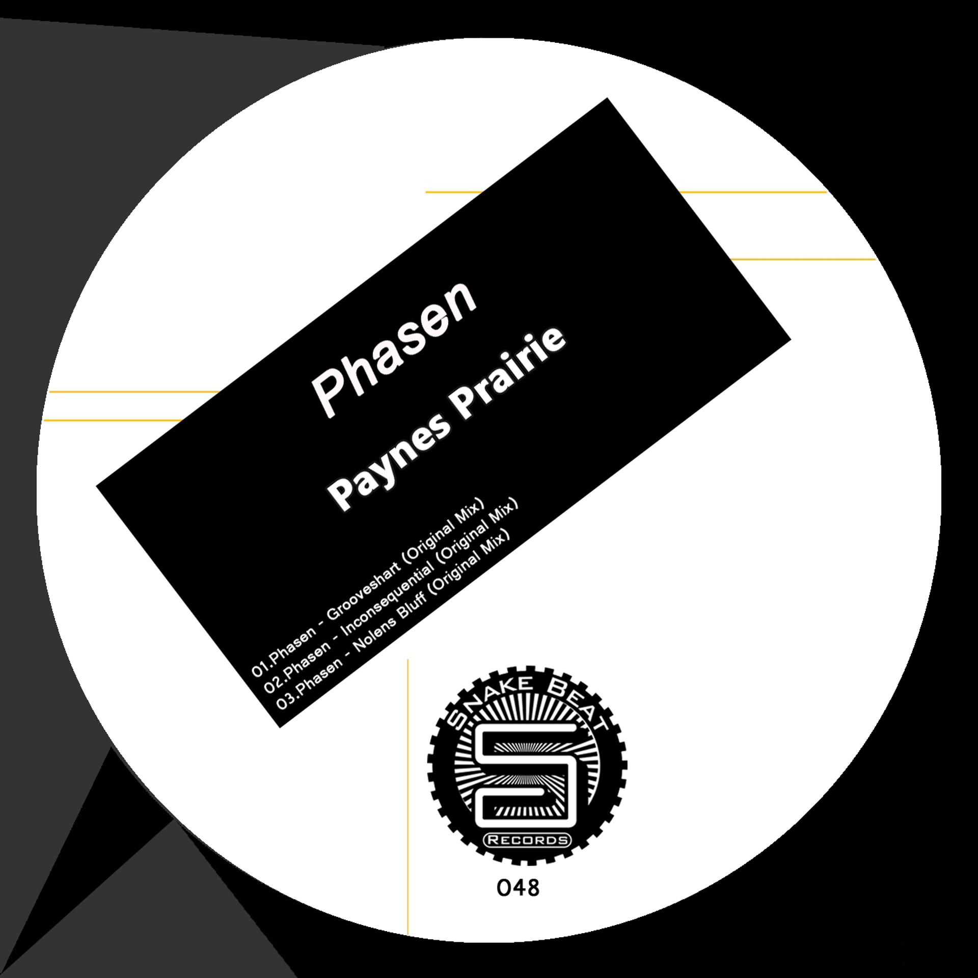 Постер альбома Paynes Prairie