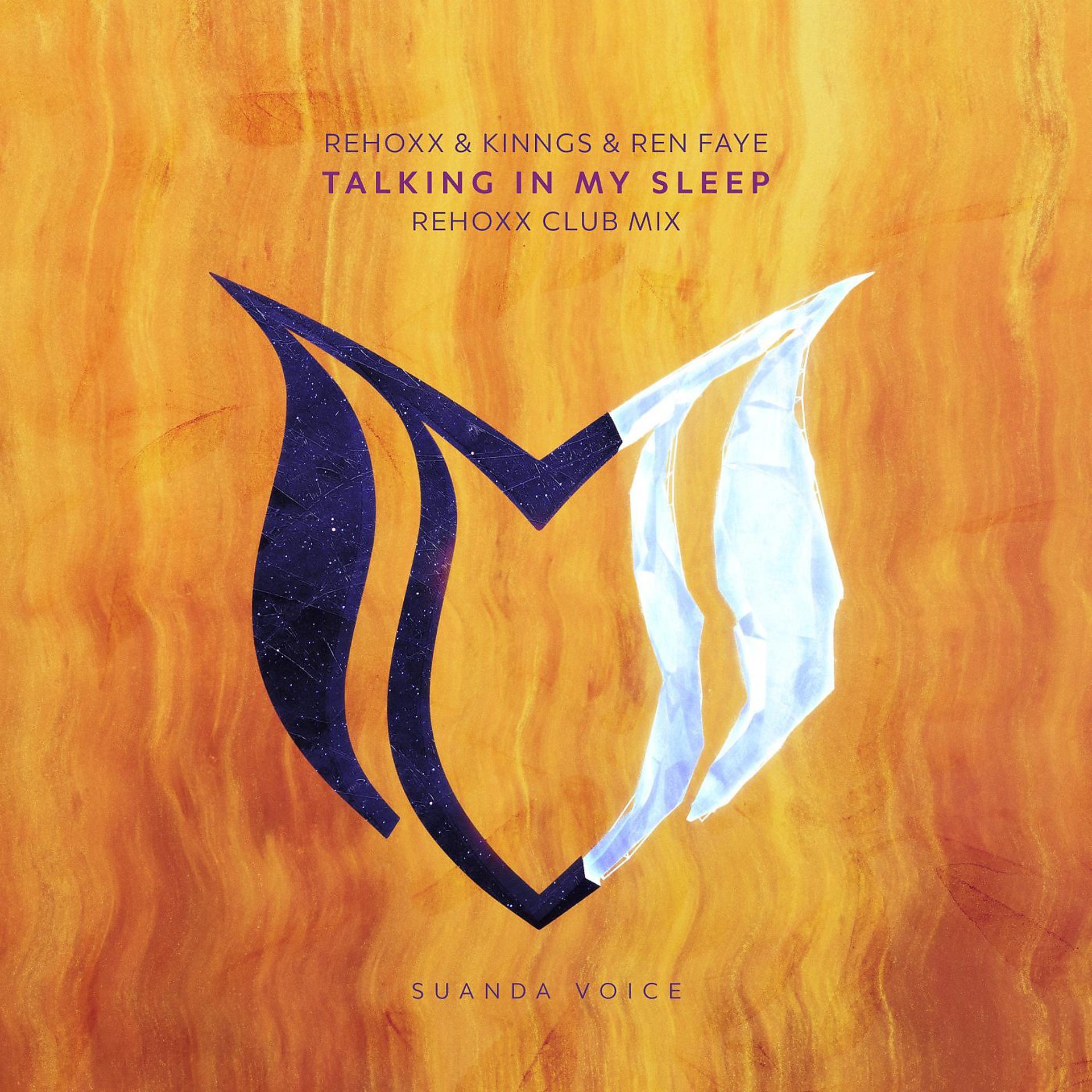 Постер альбома Talking In My Sleep (Rehoxx Club Mix)