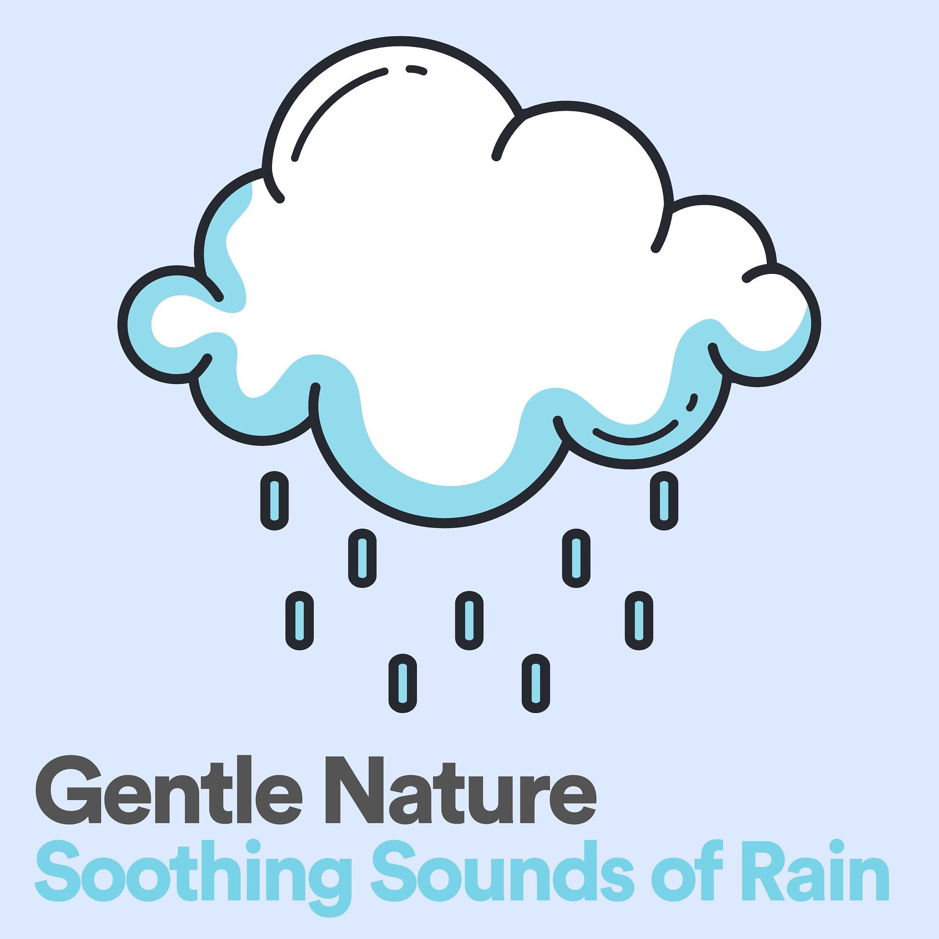 Постер альбома Gentle Nature Soothing Sounds of Rain