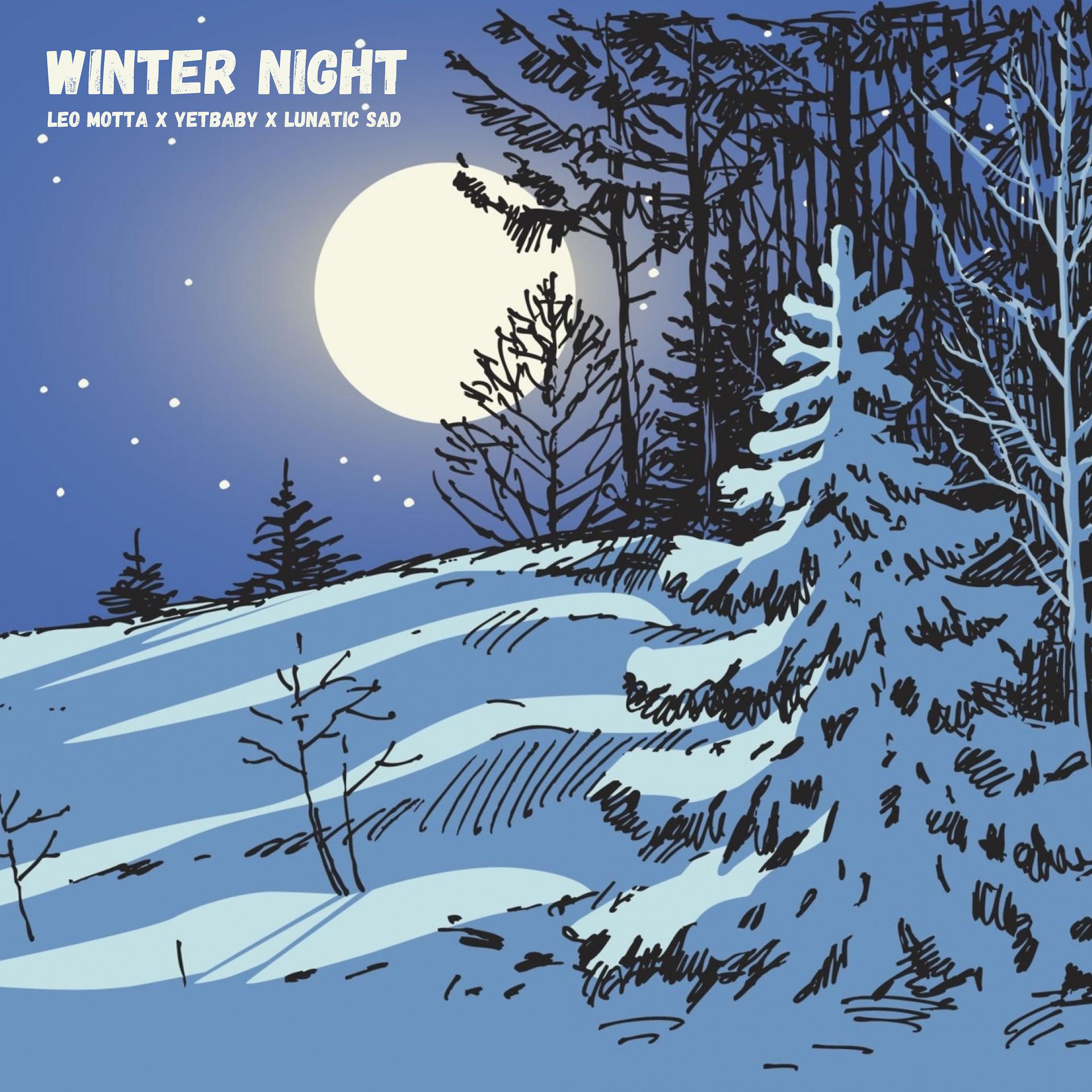 Постер альбома Winter night