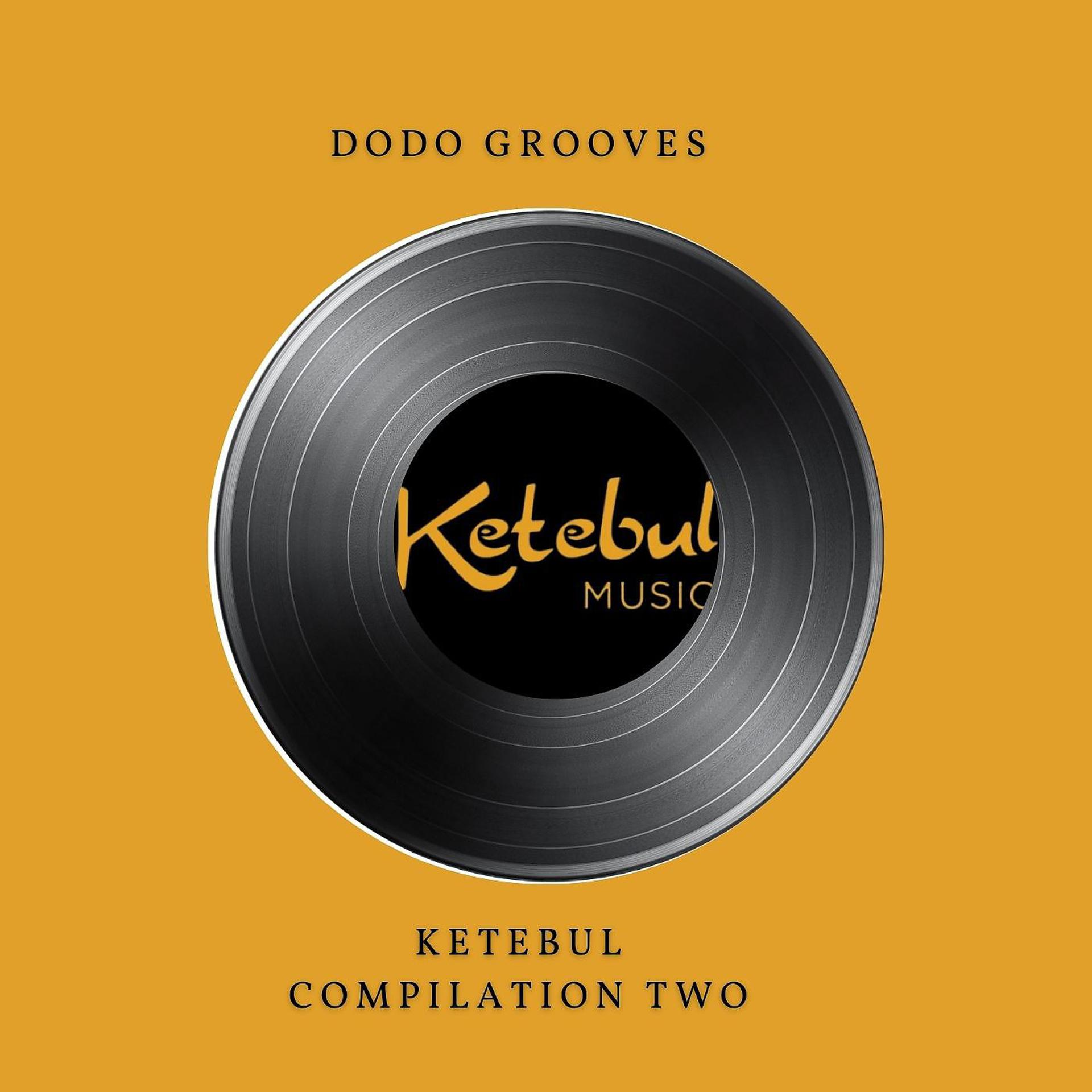 Постер альбома Dodo Grooves