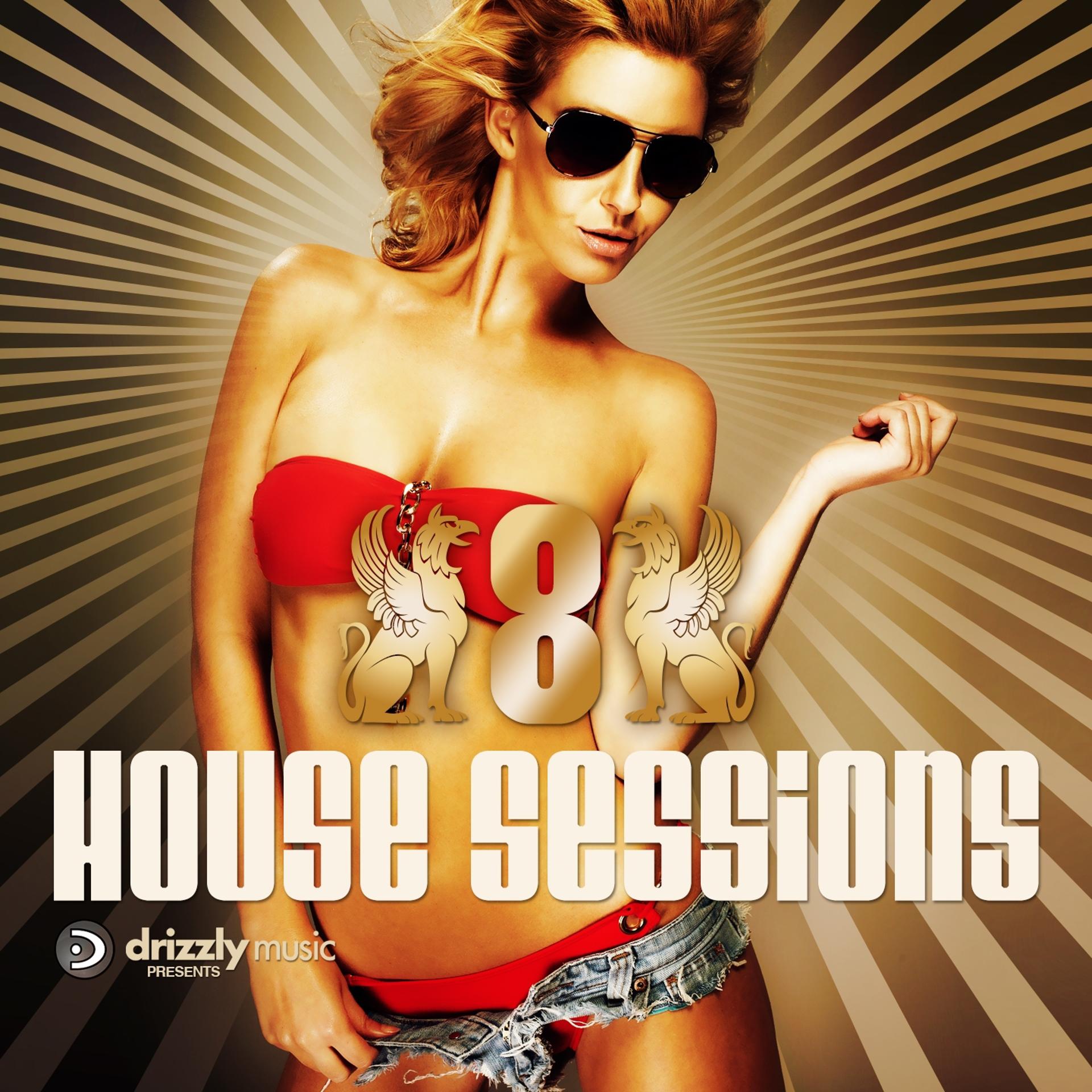 Постер альбома Drizzly House Sessions, Vol. 8