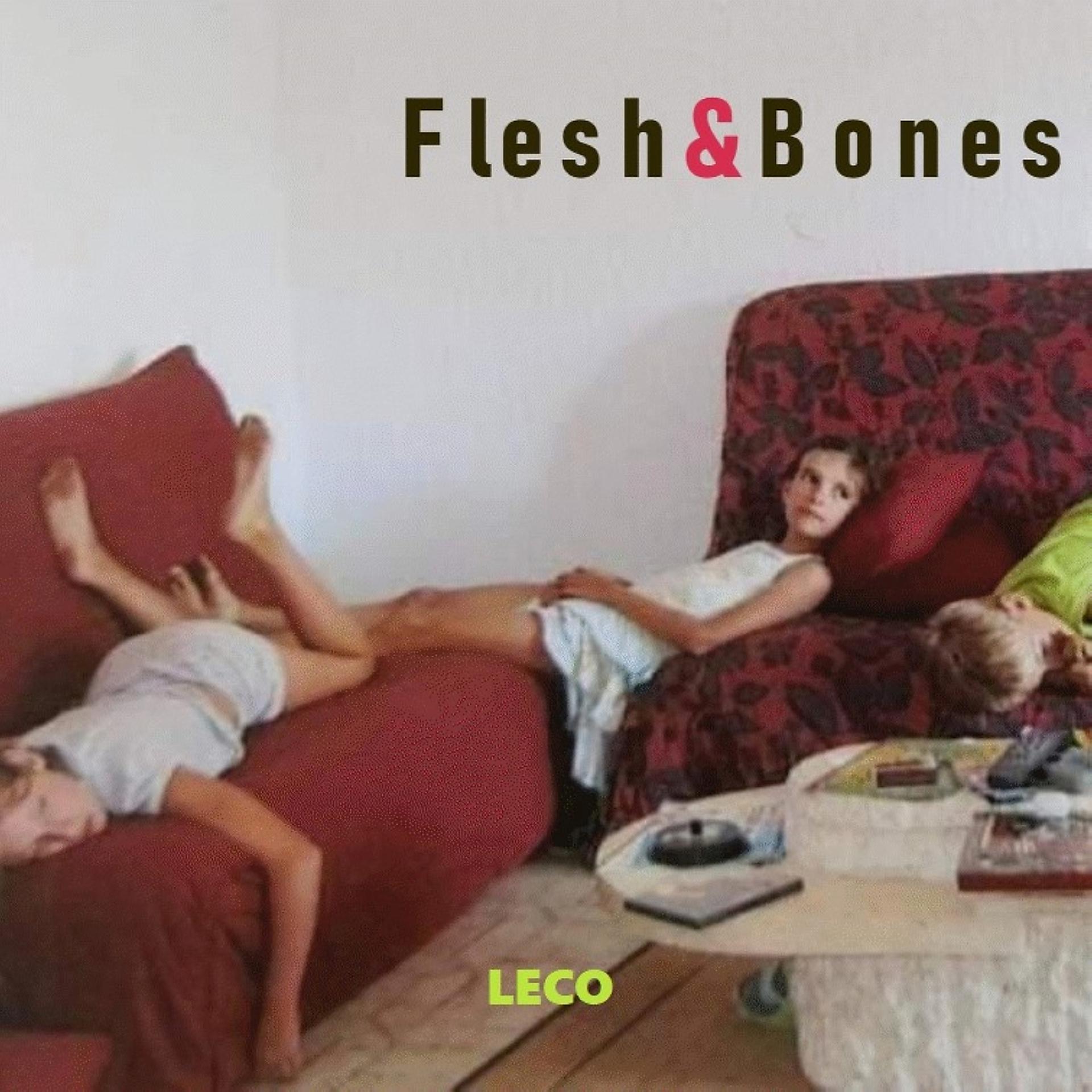 Постер альбома Flesh & Bones