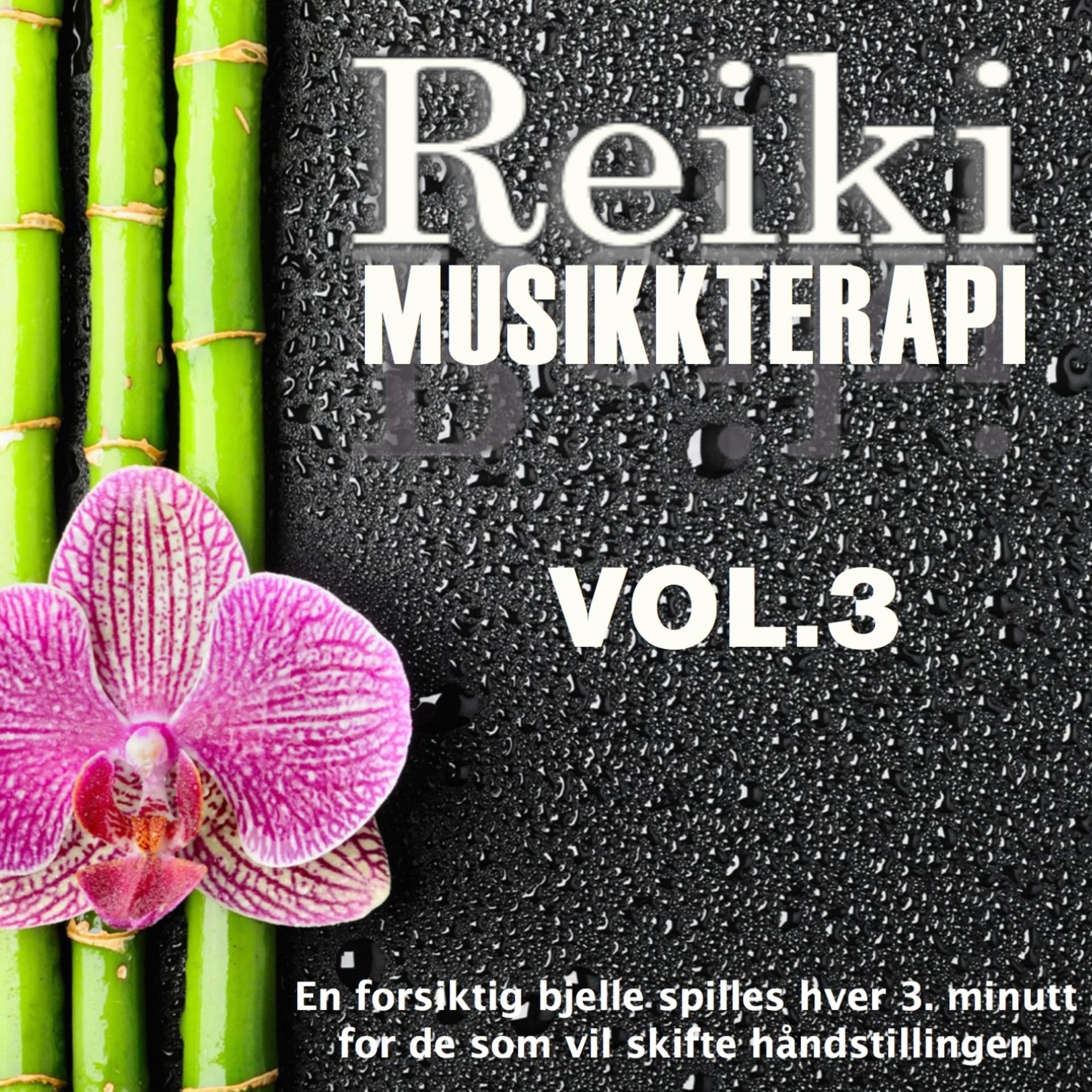 Постер альбома Reiki Musikkterapi, Vol. 3