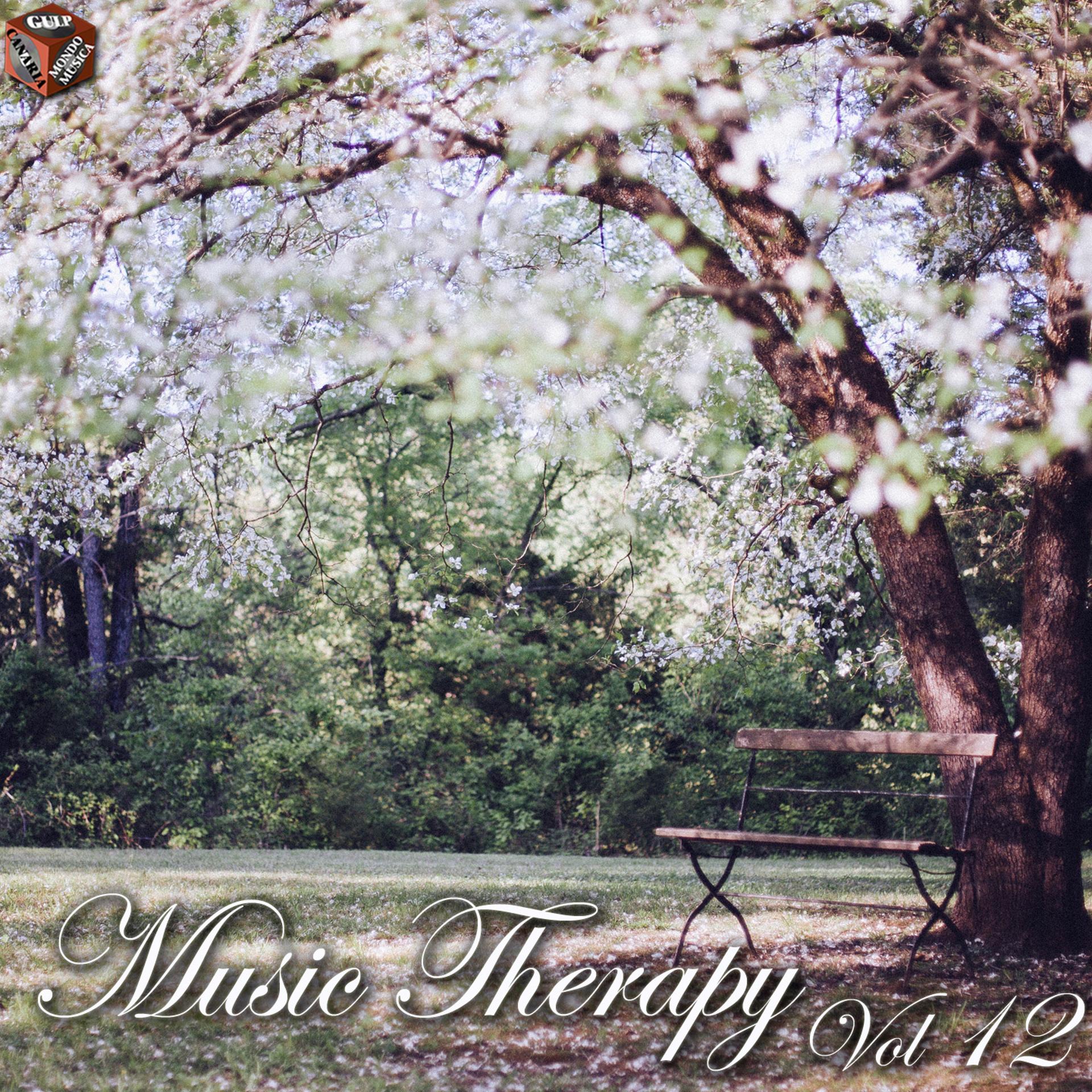 Постер альбома Music Therapy, Vol. 12