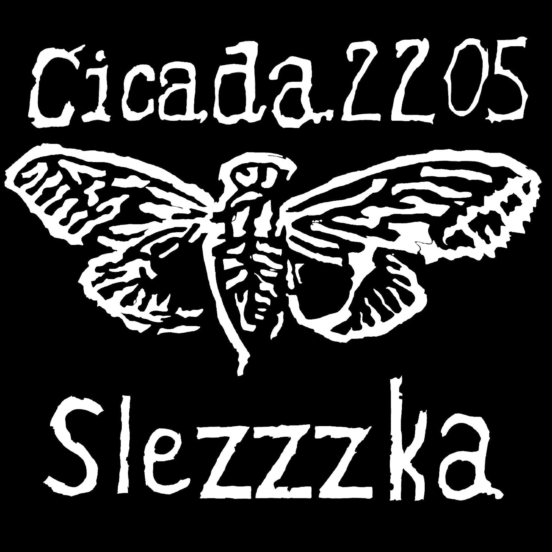 Постер альбома Cicada2205