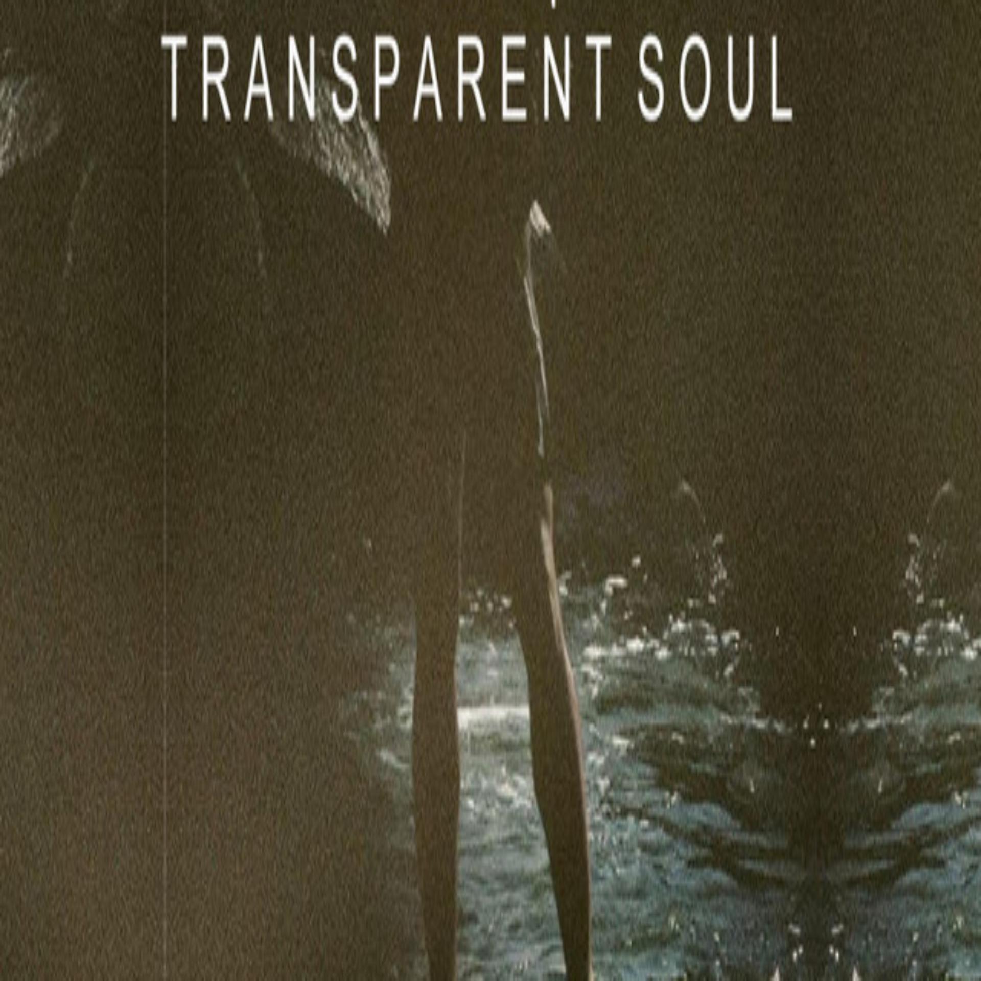 Постер альбома Transparent Soul