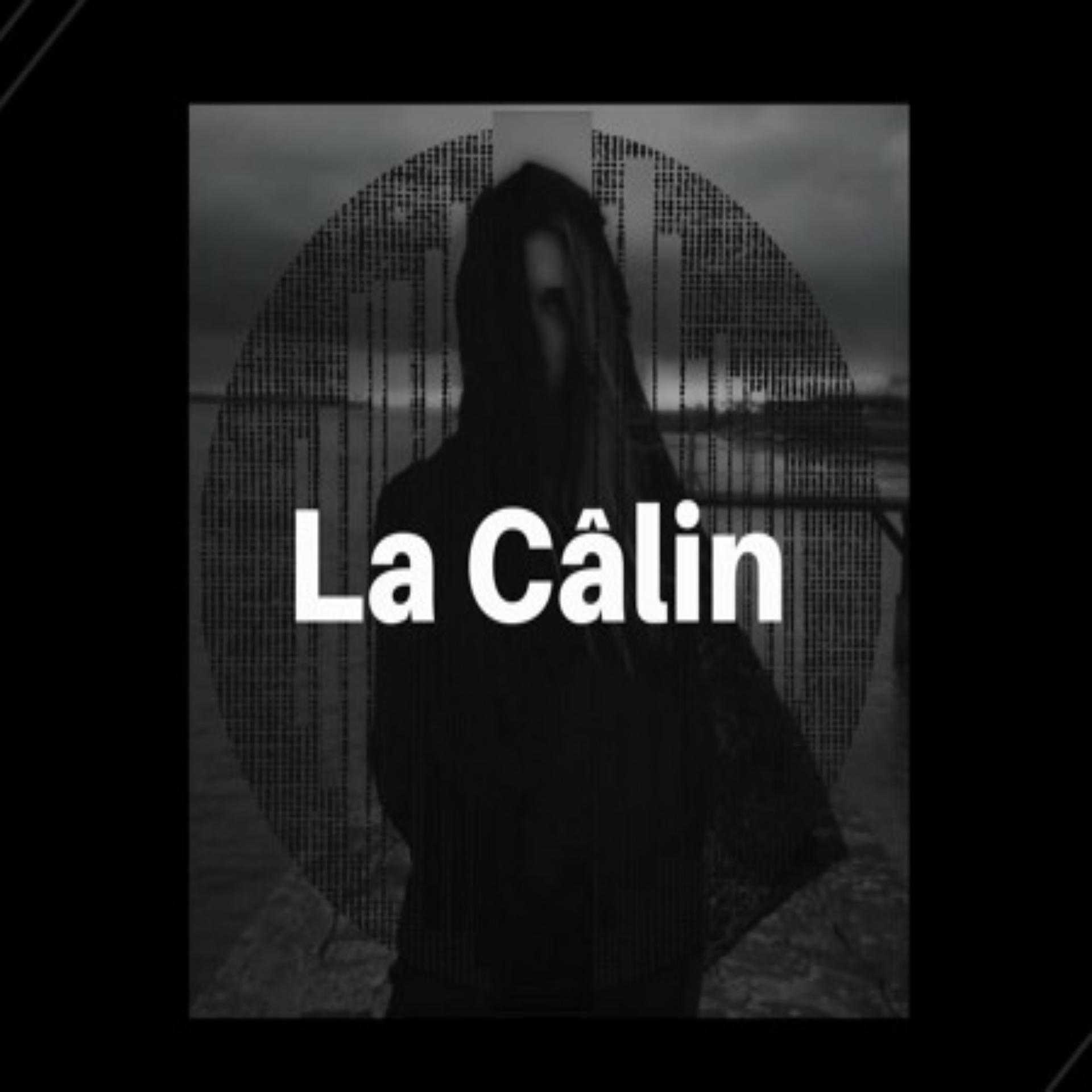 Постер альбома La calin