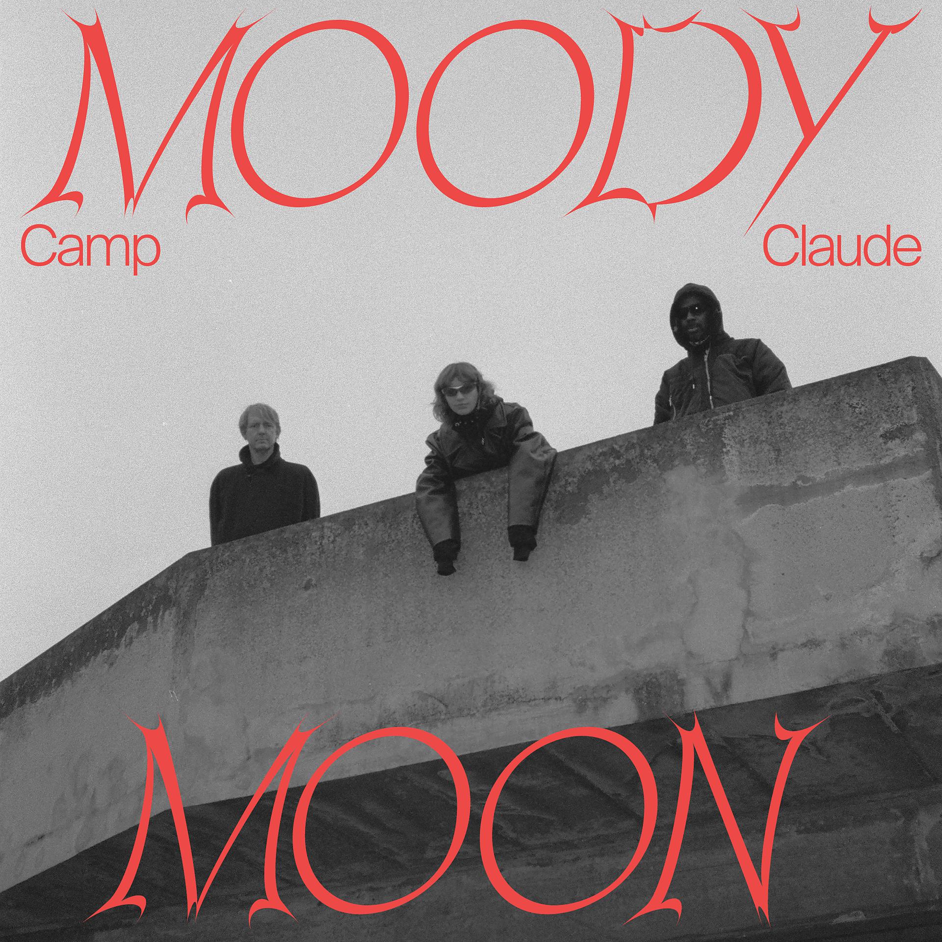 Постер альбома Moody Moon