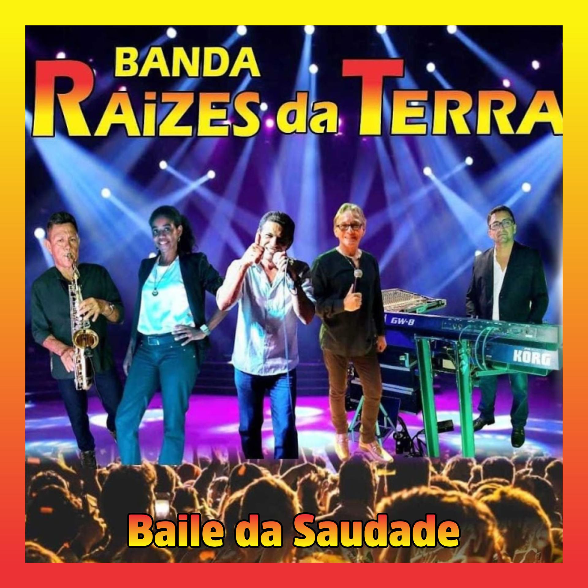 Постер альбома Baile da Saudade