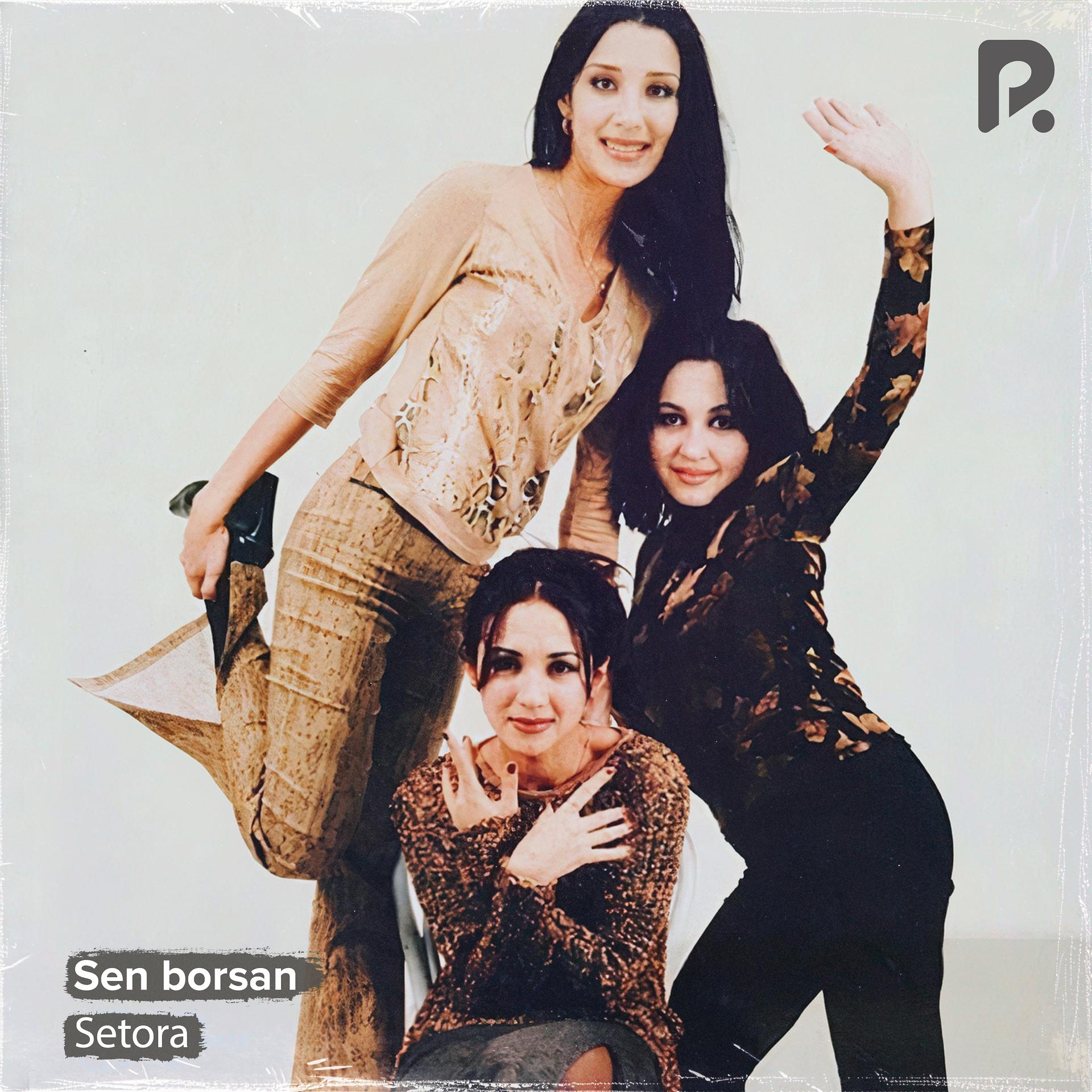 Постер альбома Sen borsan