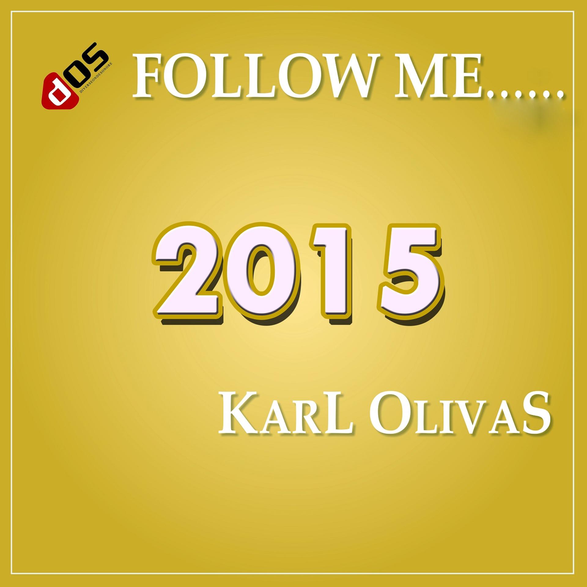 Постер альбома Follow Me 2015