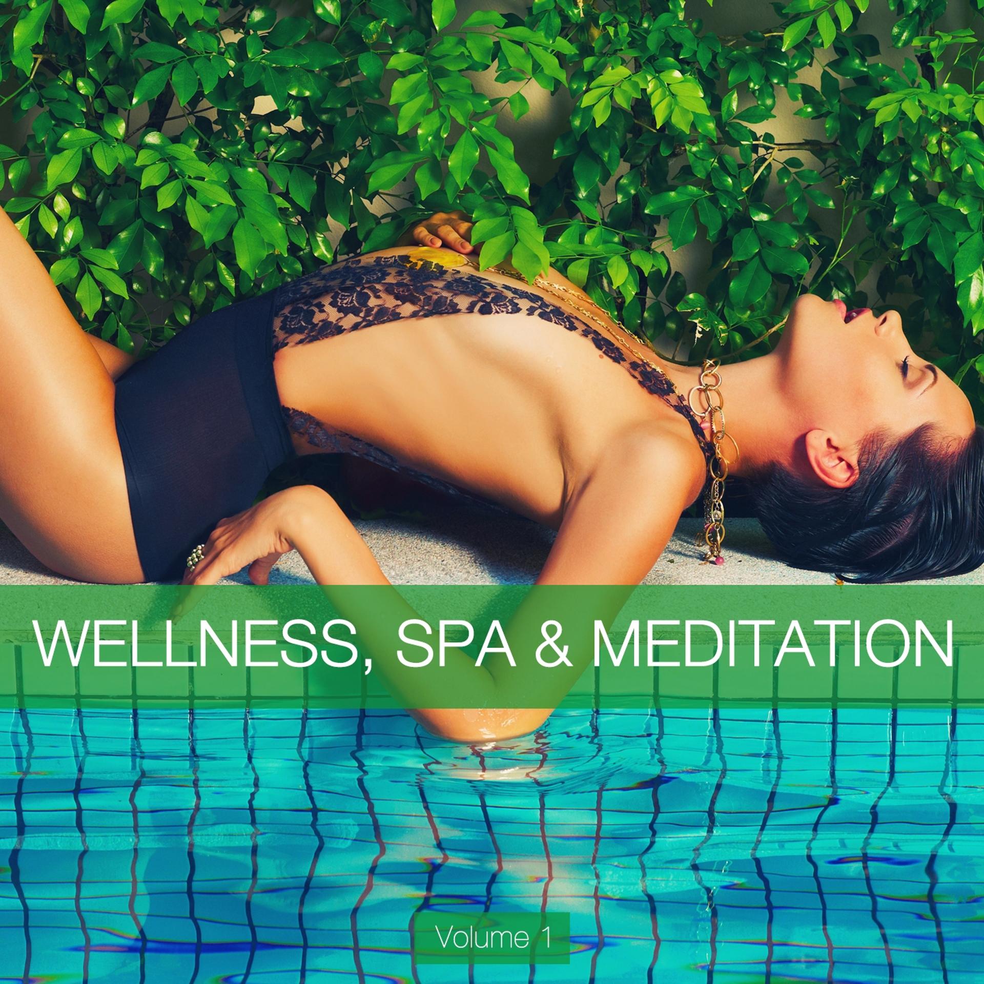 Постер альбома Wellness, Spa & Meditation, Vol. 1