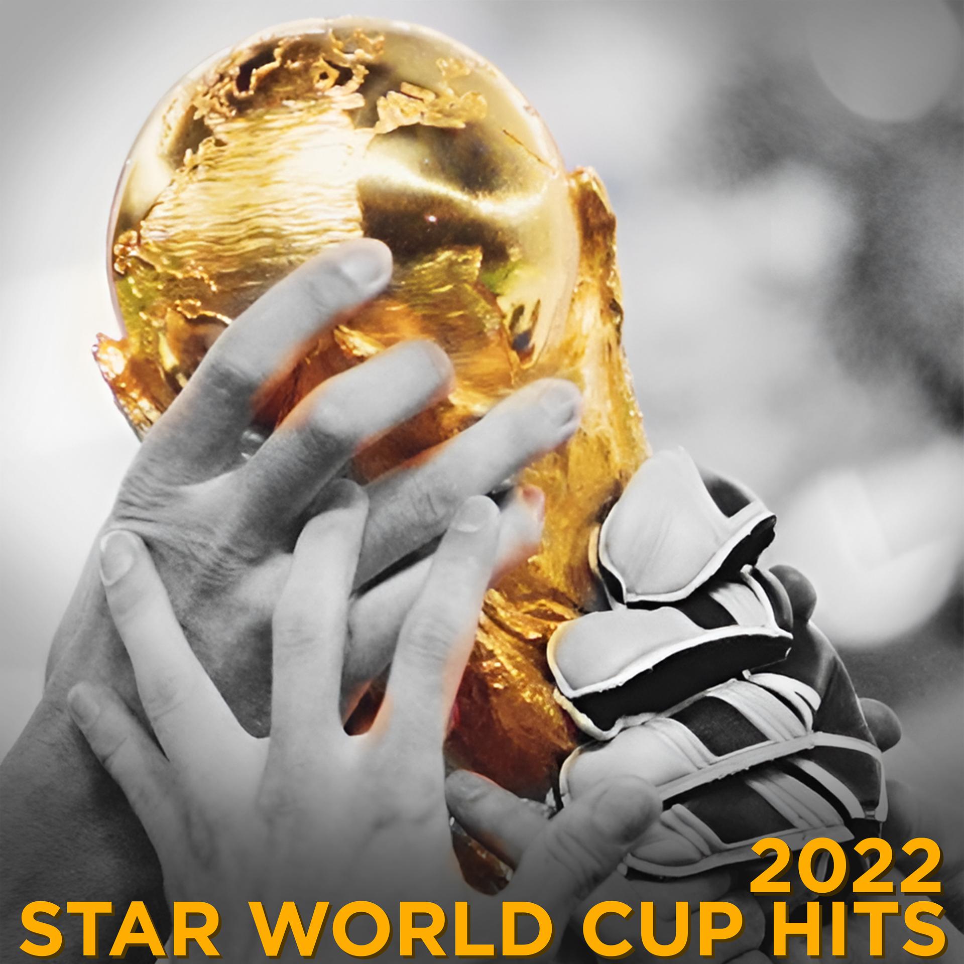 Постер альбома Star World Cup Hits 2022