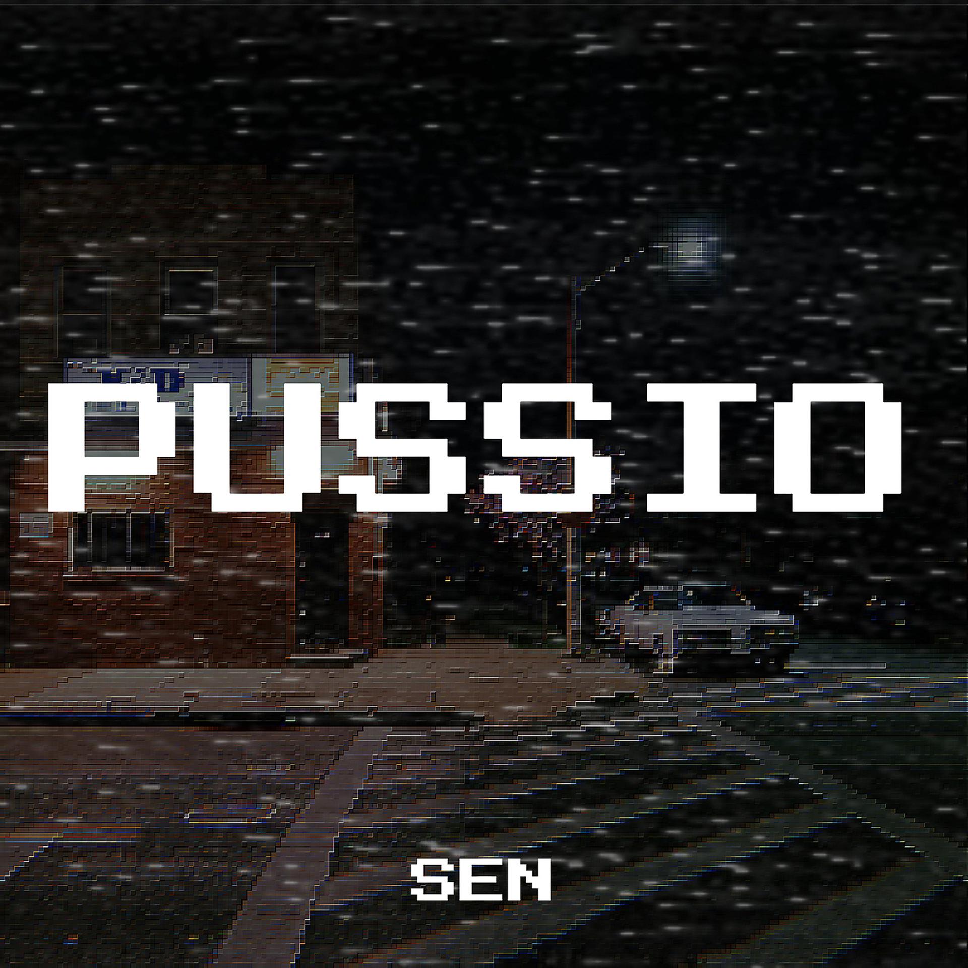 Постер альбома Pussio
