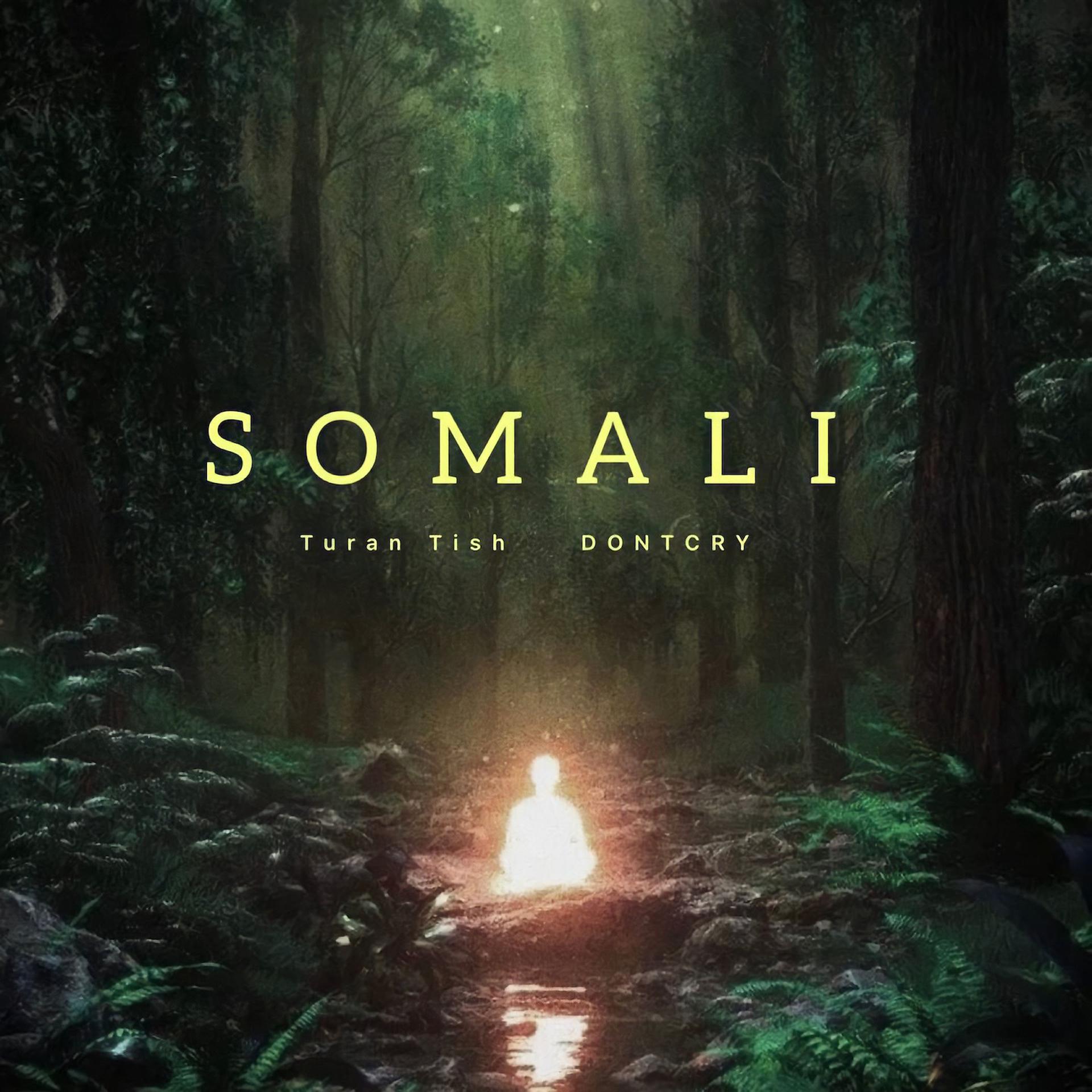 Постер альбома Somali