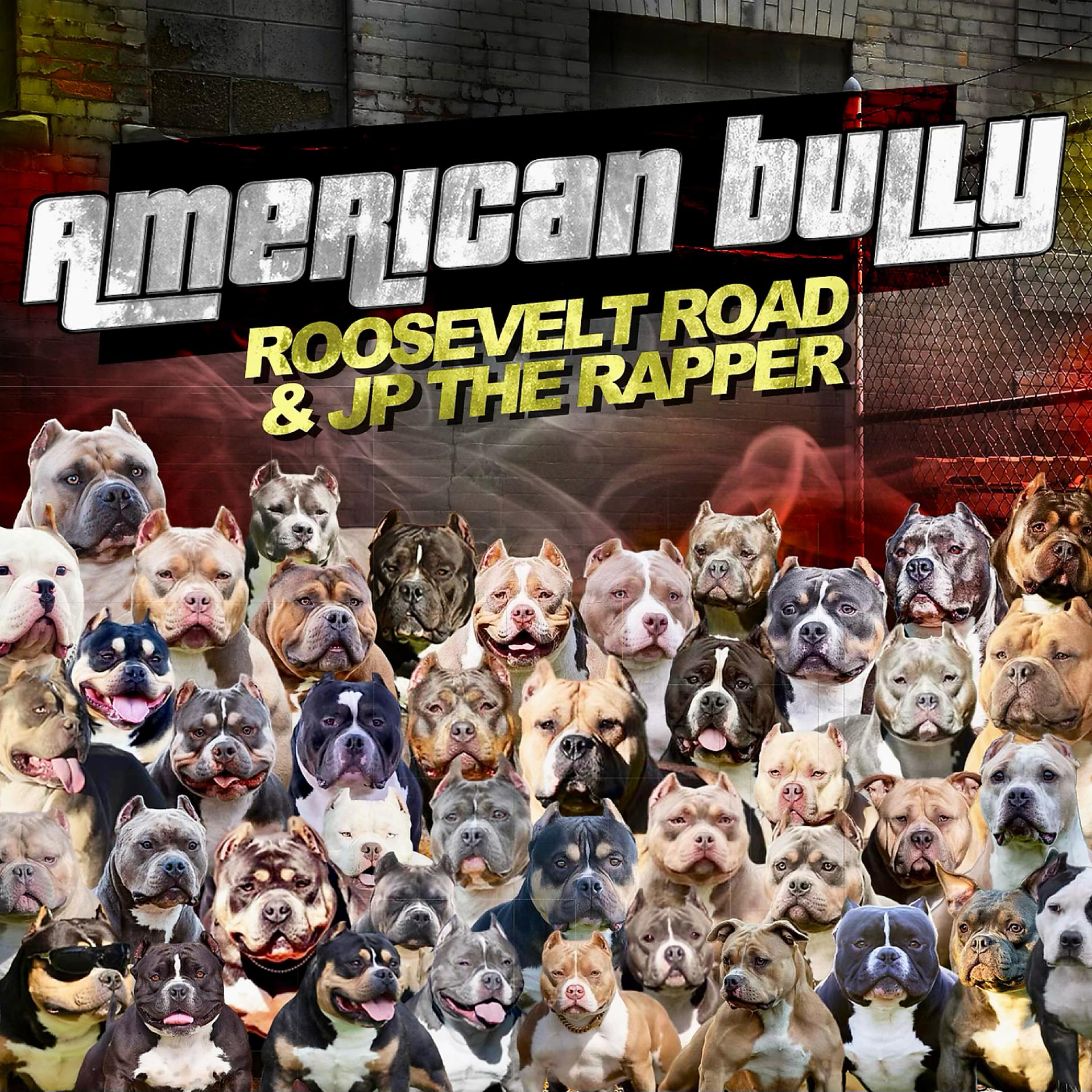Постер альбома American Bully