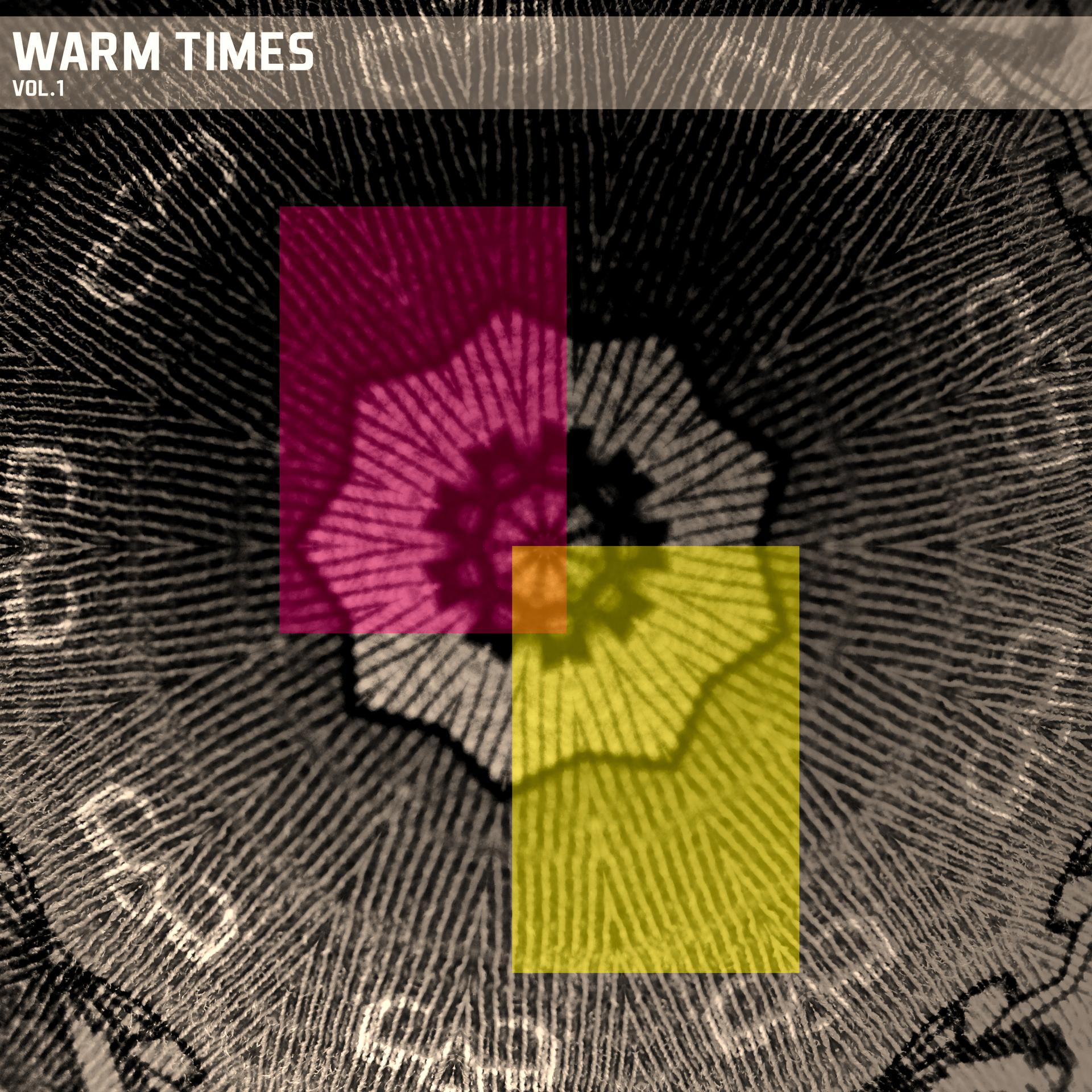 Постер альбома Warm Times, Vol. 01