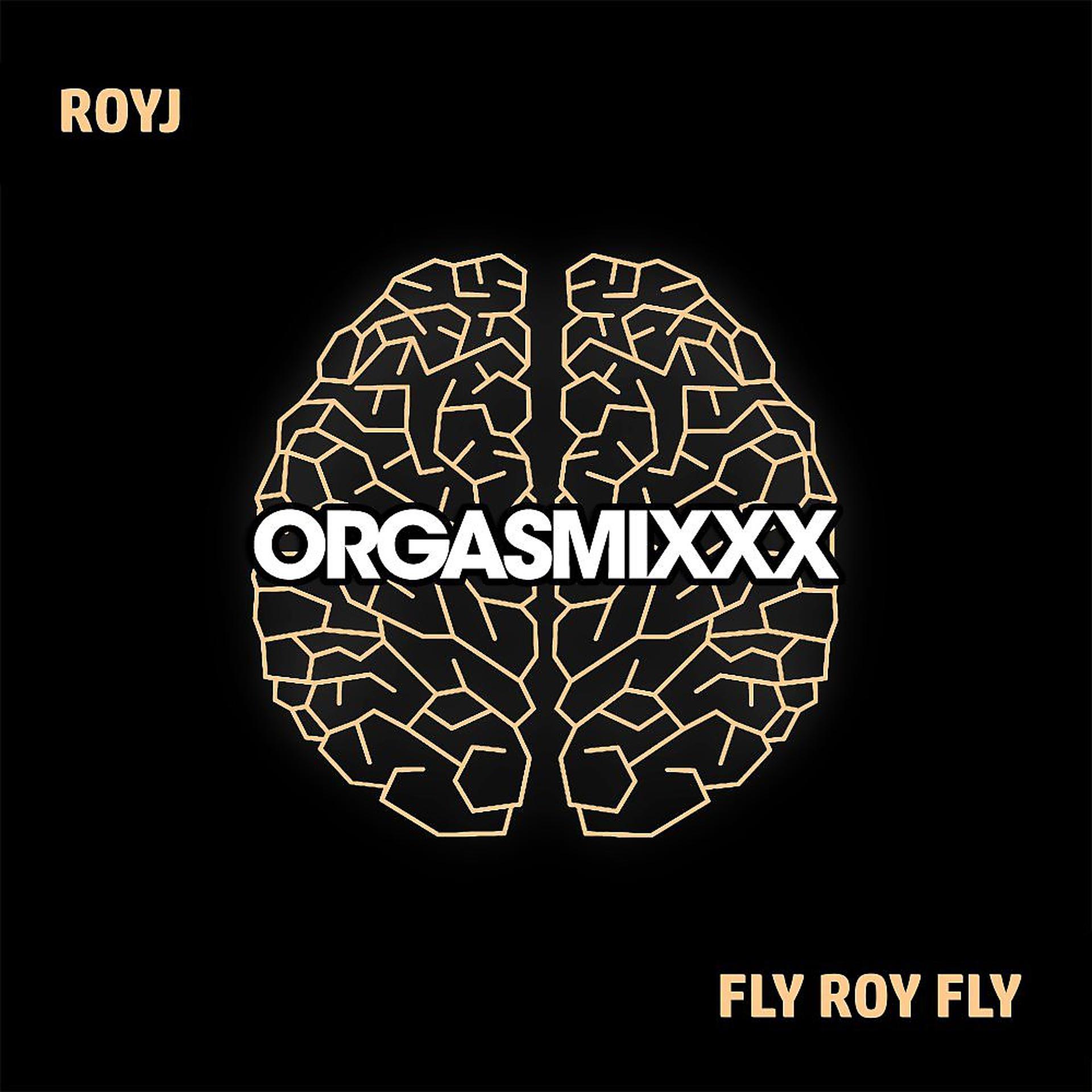 Постер альбома Fly Roy Fly
