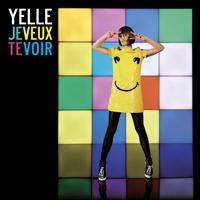 Постер альбома Je Veux Te Voir [Remixes 2008]