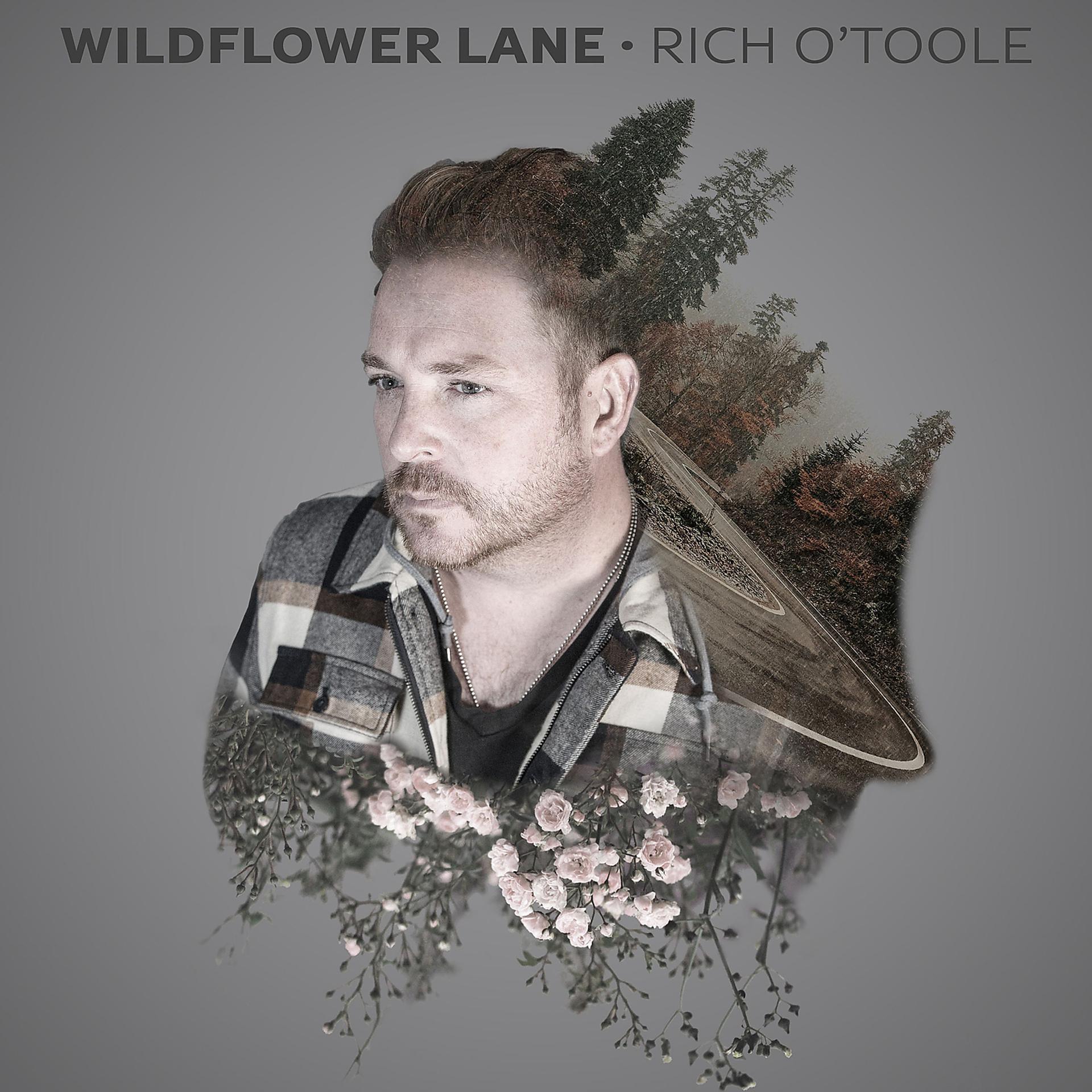 Постер альбома Wildflower Lane
