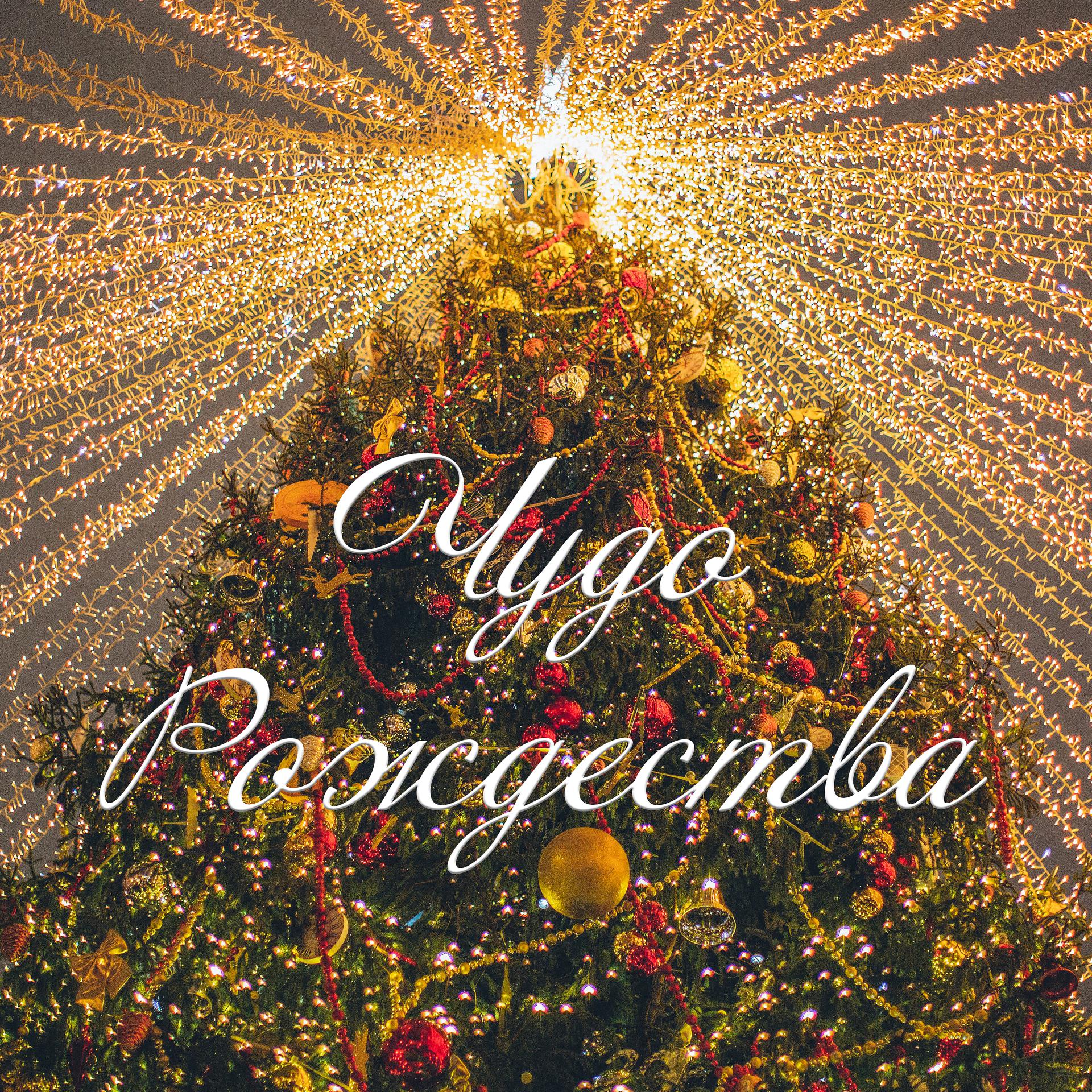 Постер альбома Чудо Рождества