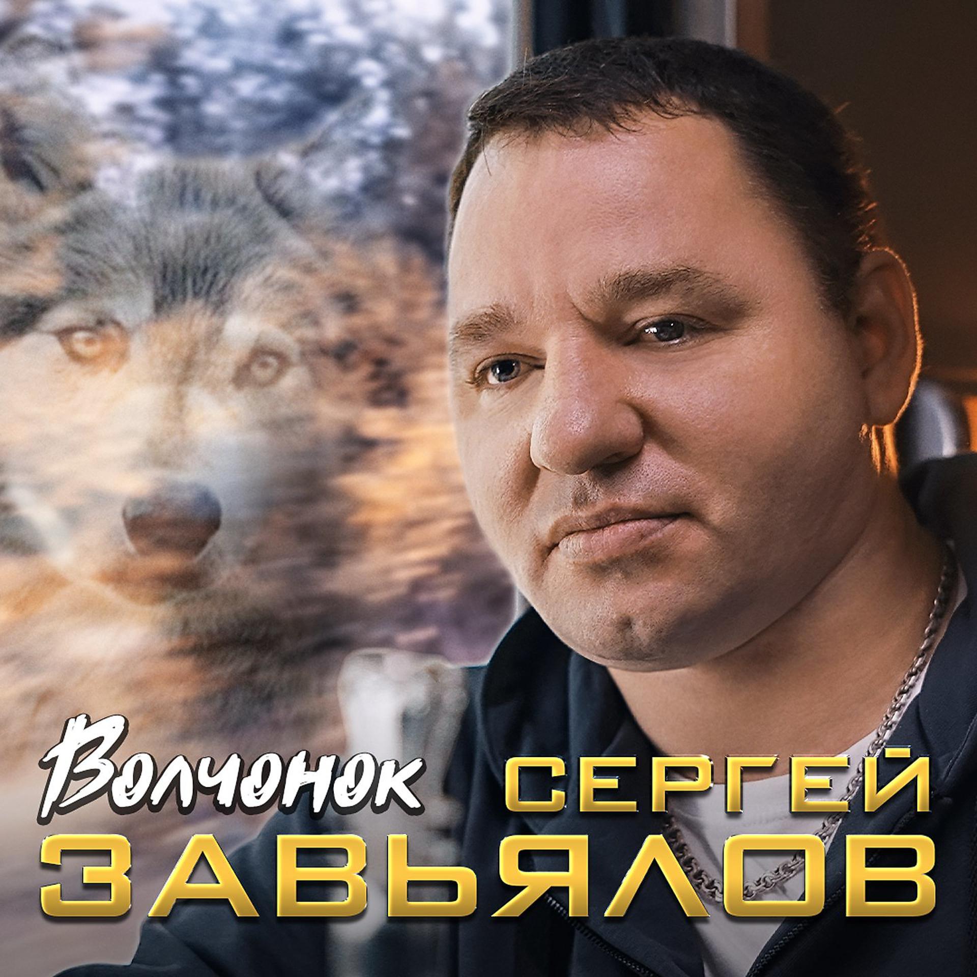 Постер к треку Сергей Завьялов - Волчонок