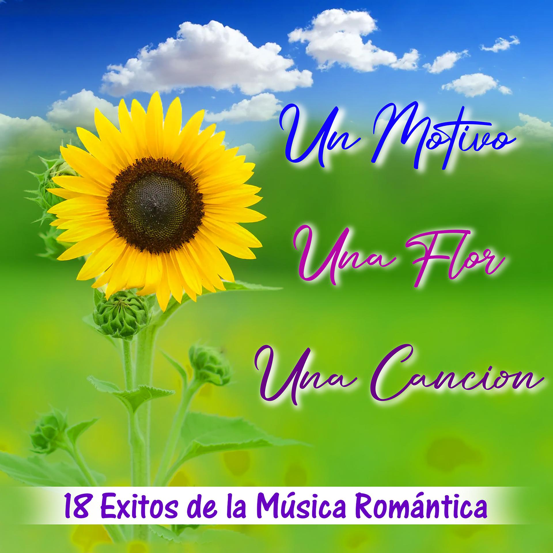Постер альбома Un Motivo una Flor una Canción 18 Éxitos de la Música Romántica
