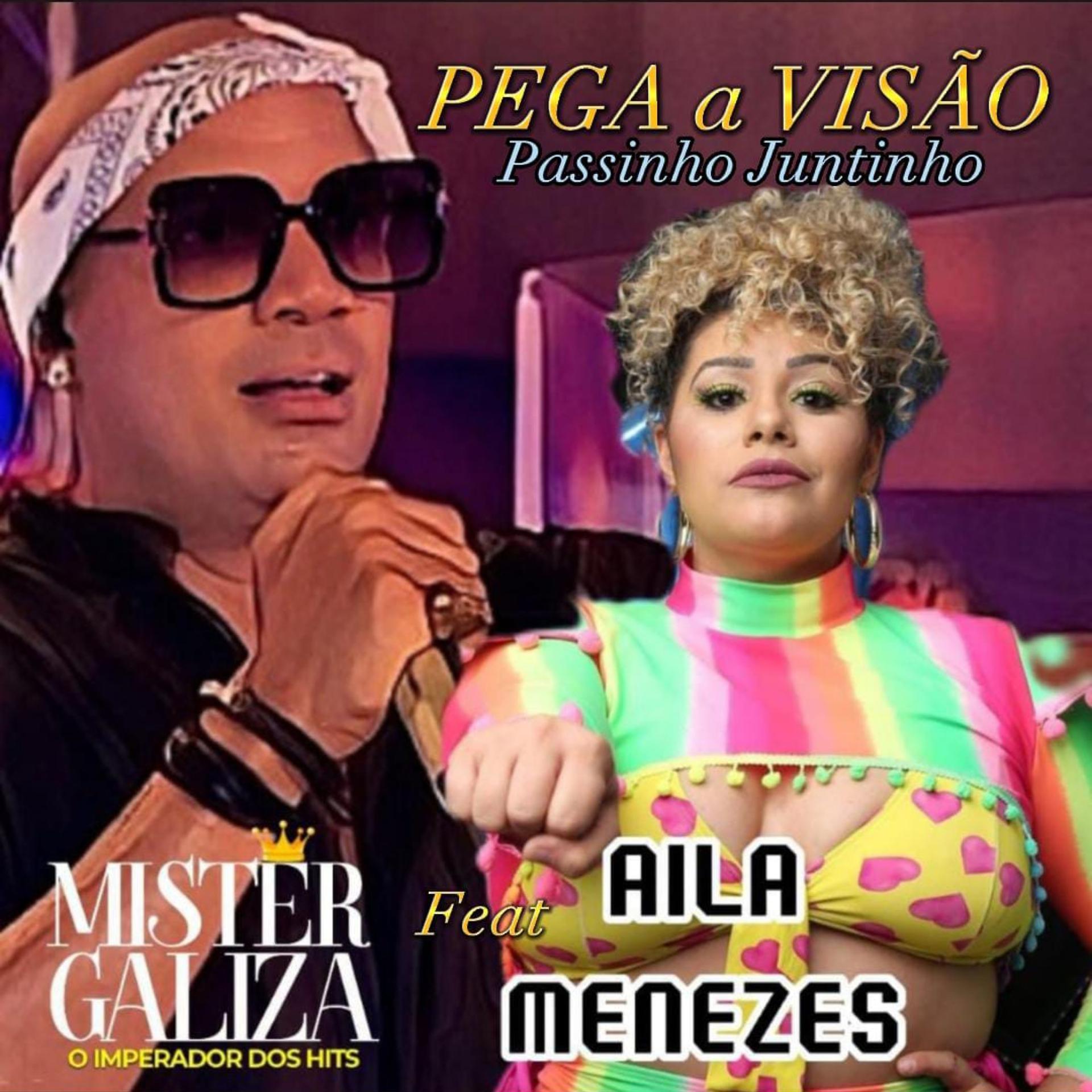 Постер альбома Pega a Visão Passinho Juntinho