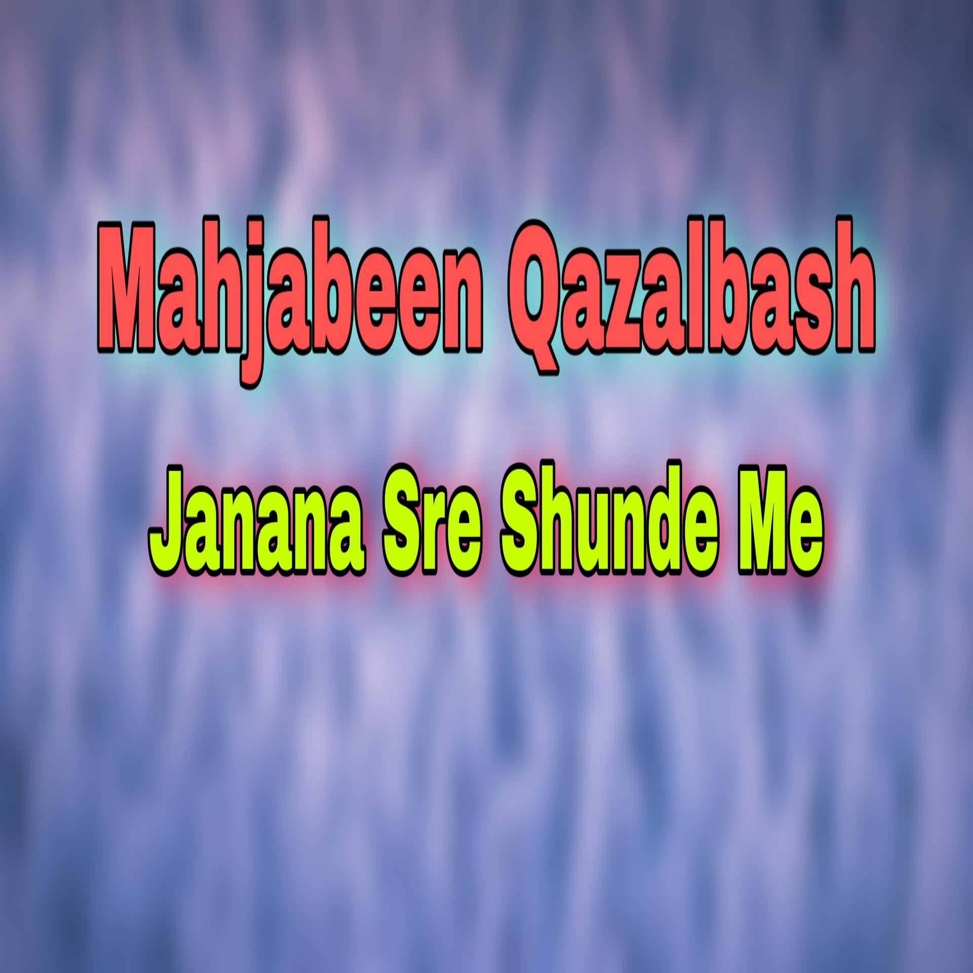 Постер альбома Janana Sre Shunde Me