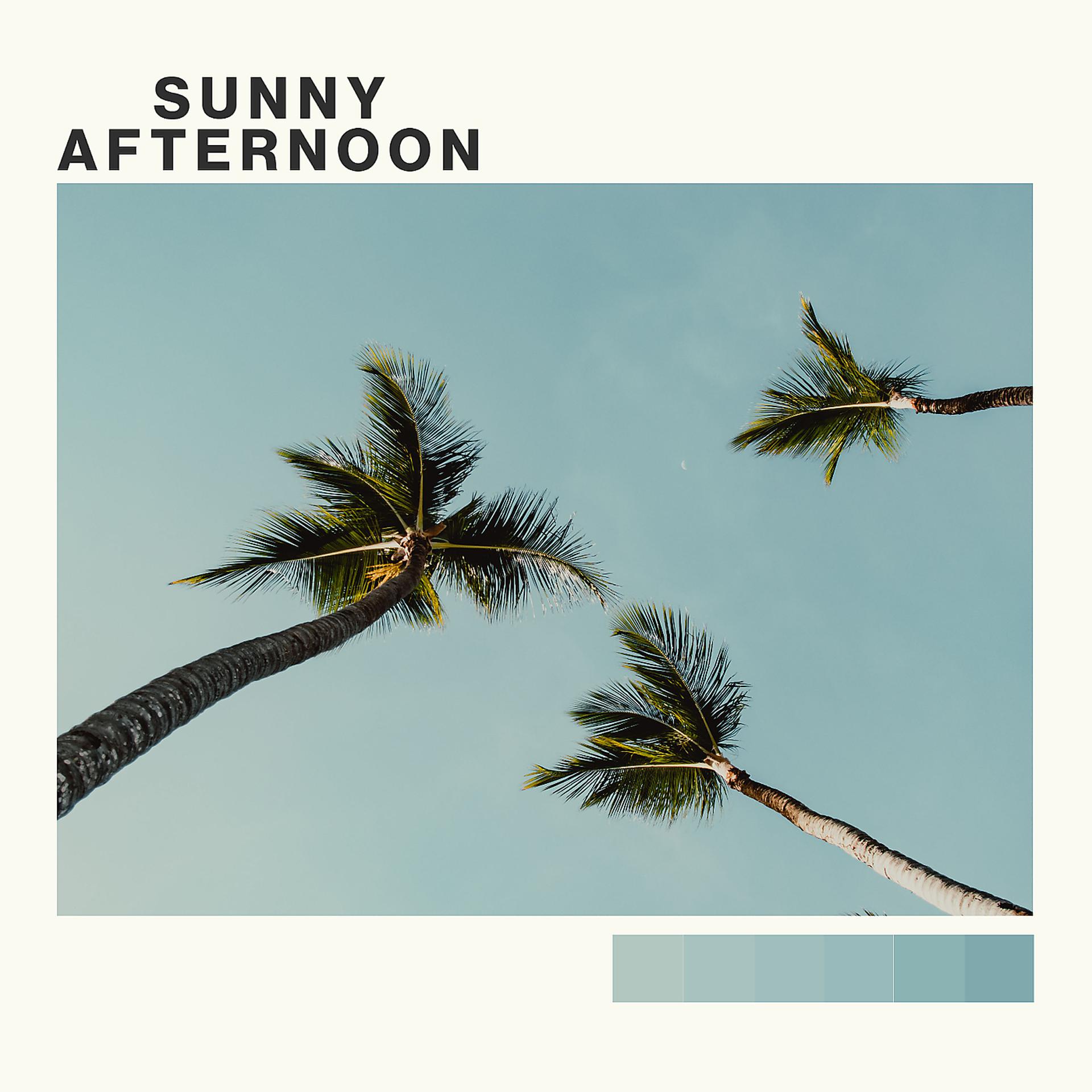 Постер альбома Sunny Afternoon