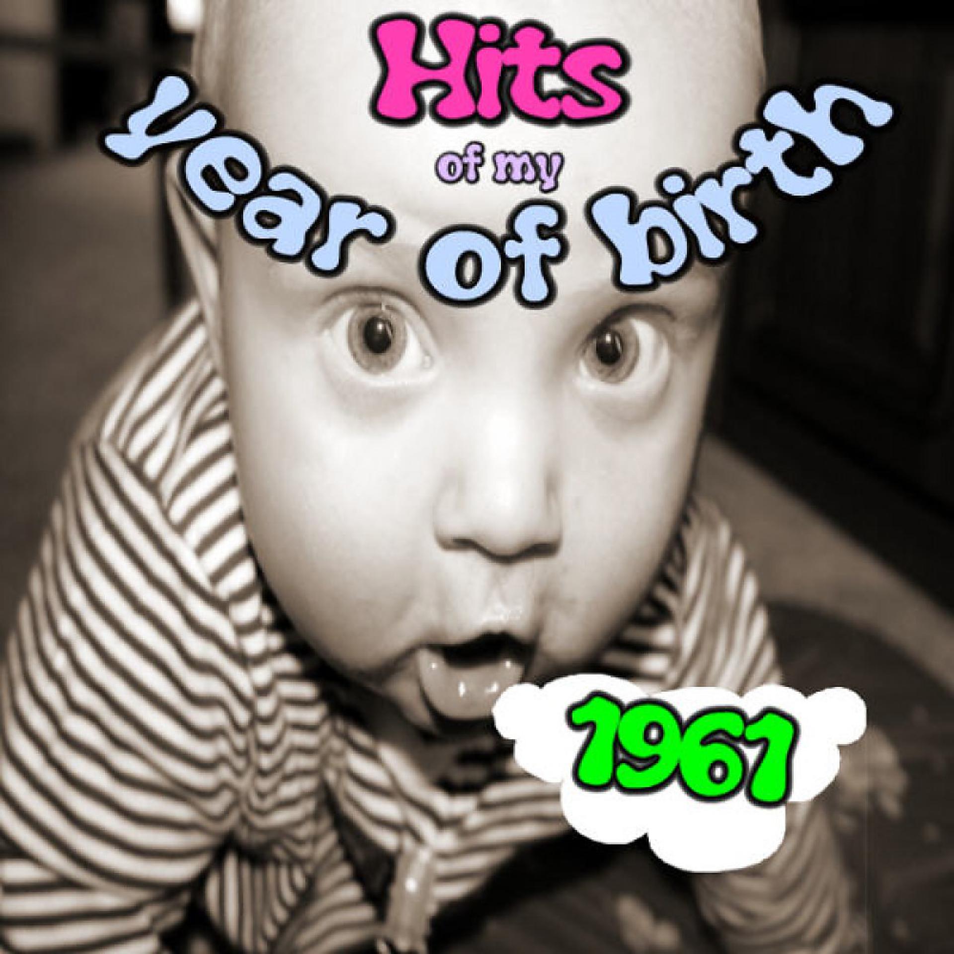 Постер альбома Hits of My Year of Birth-1961 / Hits Aus Meinem Geburtsjahr-1961