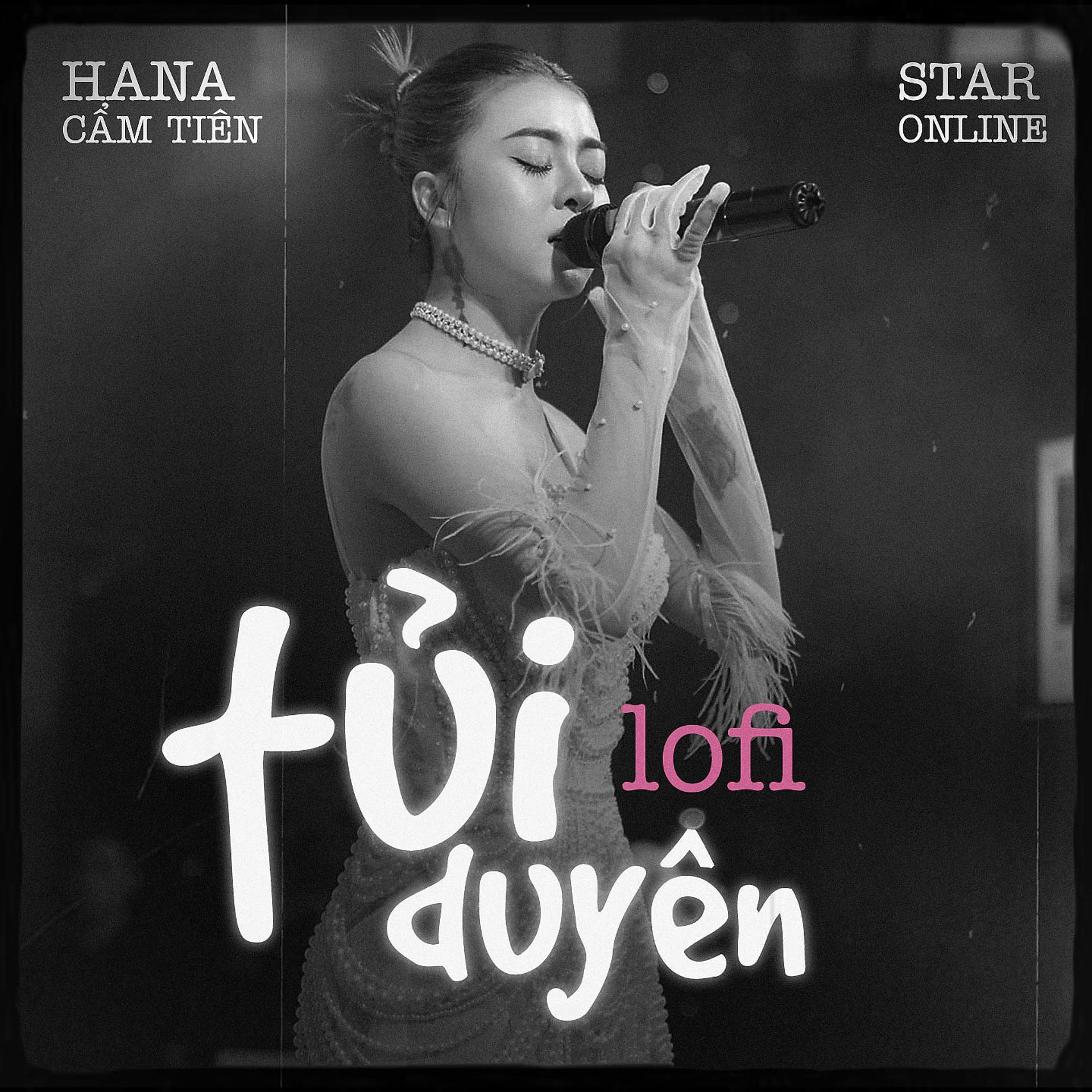Постер альбома Tủi Duyên Lofi