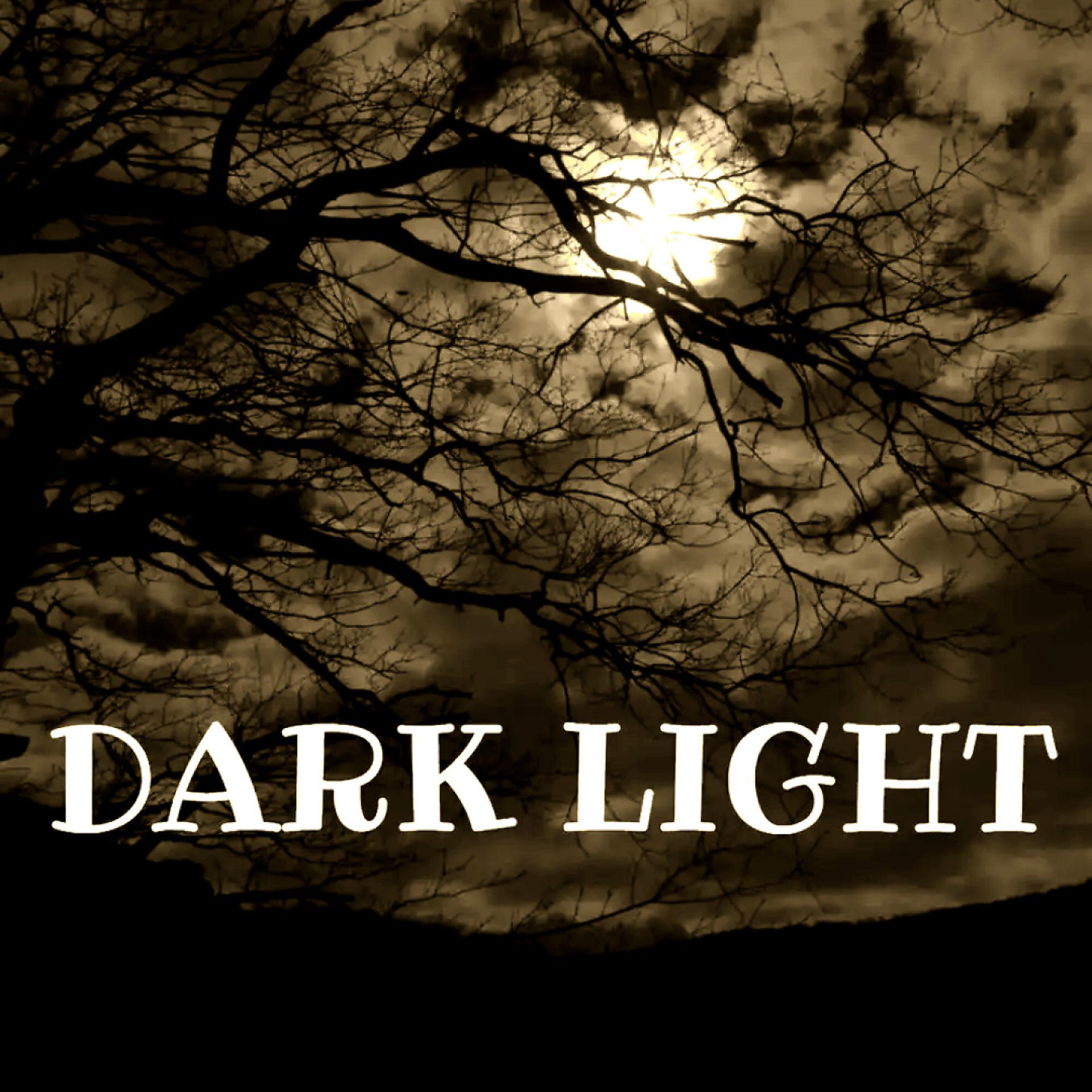 Постер альбома DARK LIGHT