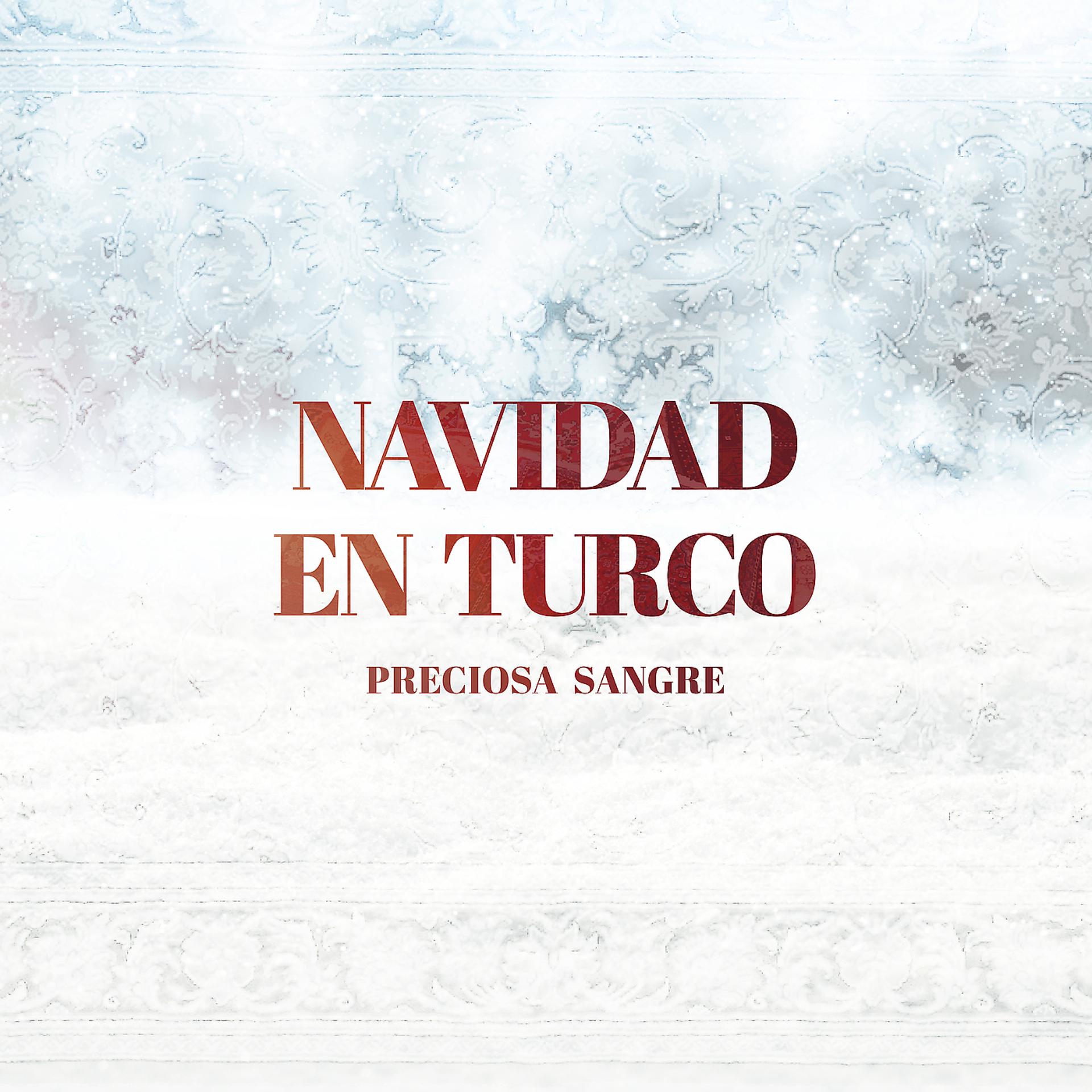 Постер альбома Navidad En Turco