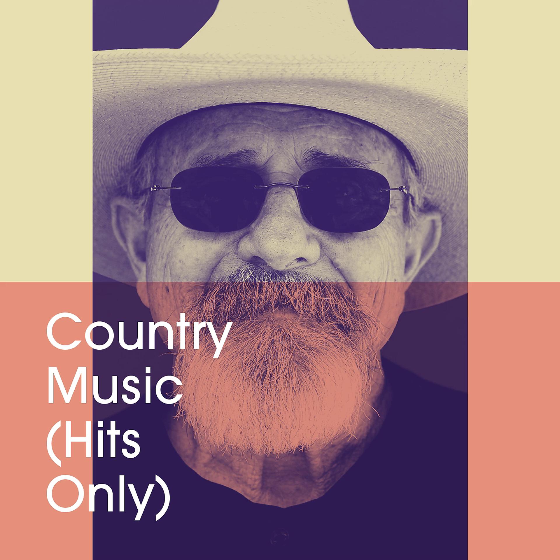 Постер альбома Country Music (Hits Only)