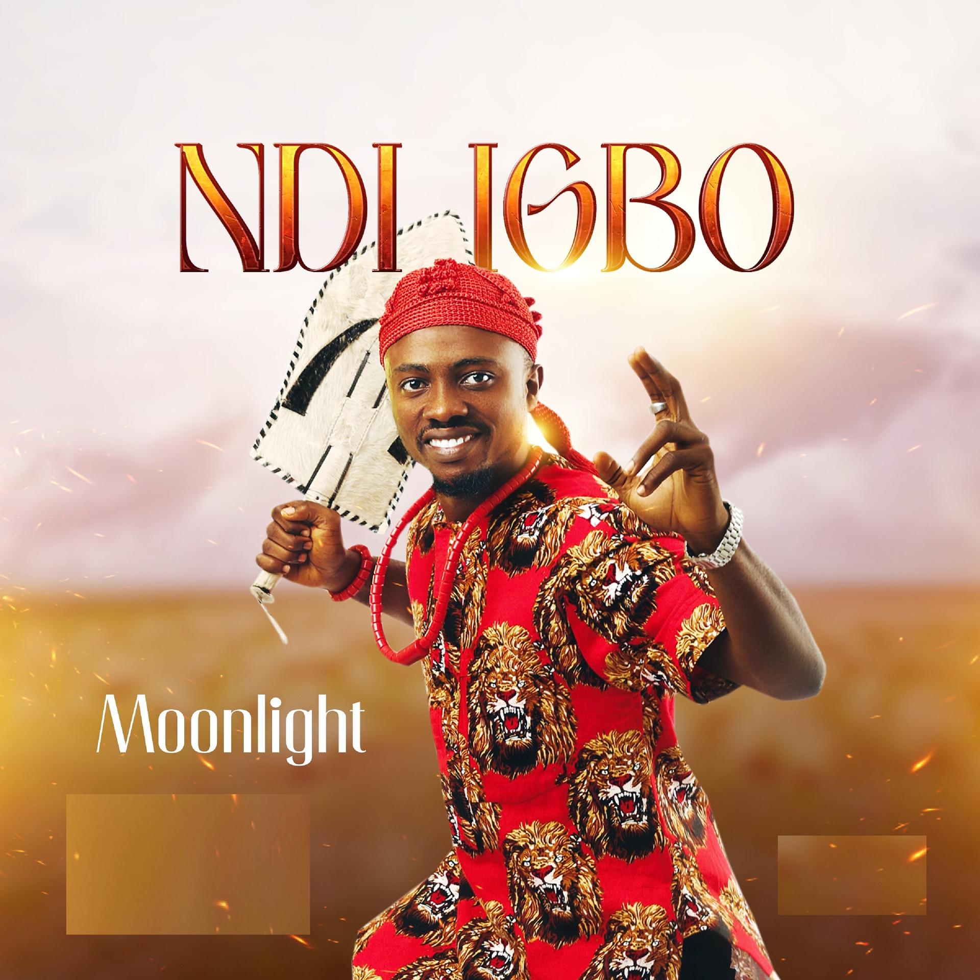 Постер альбома Ndi Igbo