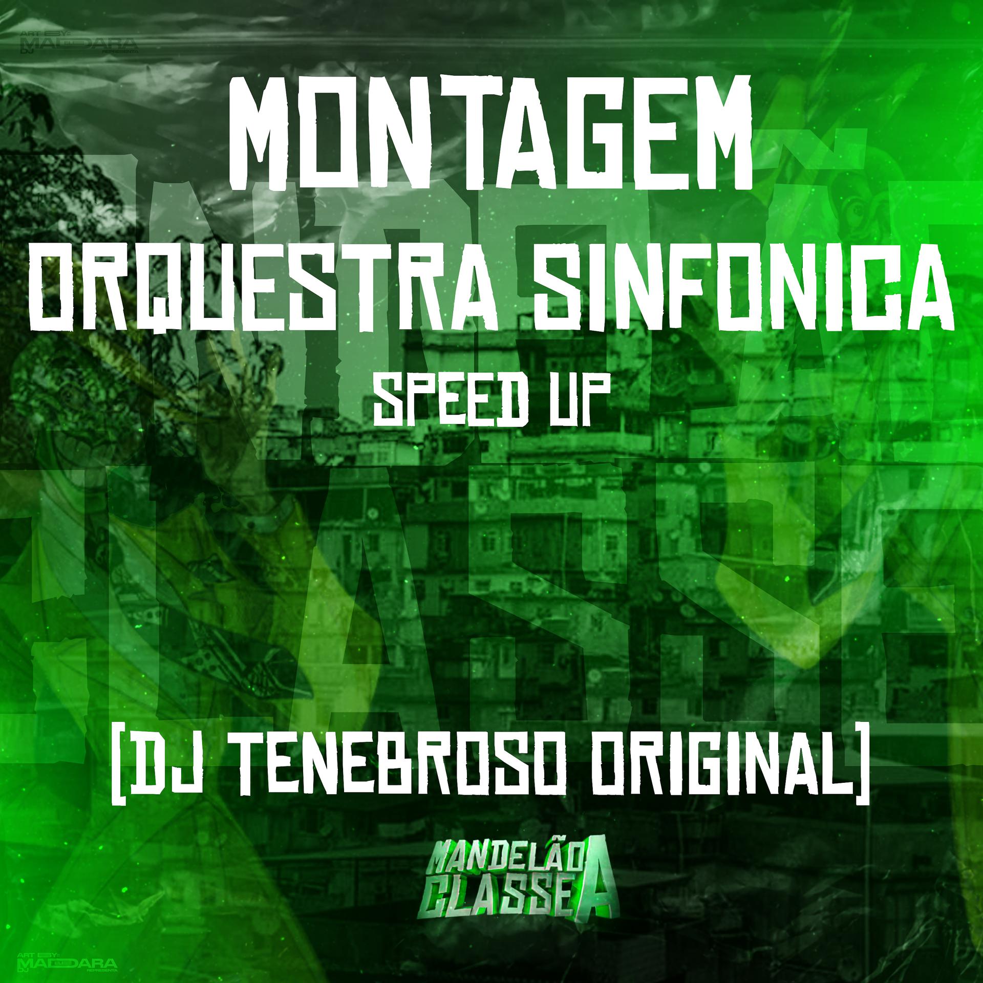 Постер альбома Montagem Orquestra Sinfonica (Speed Up)