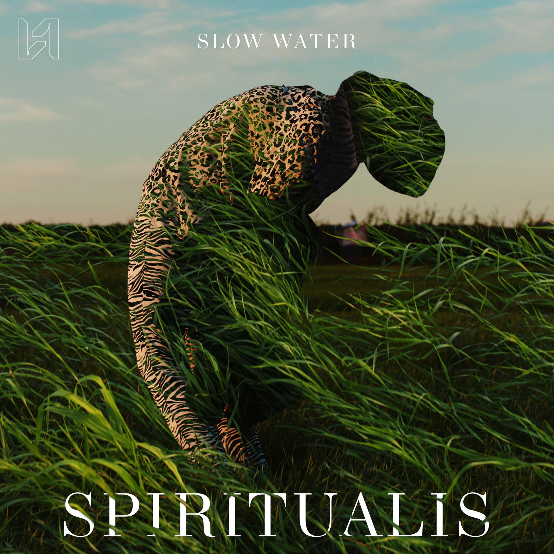 Постер альбома Spiritualis
