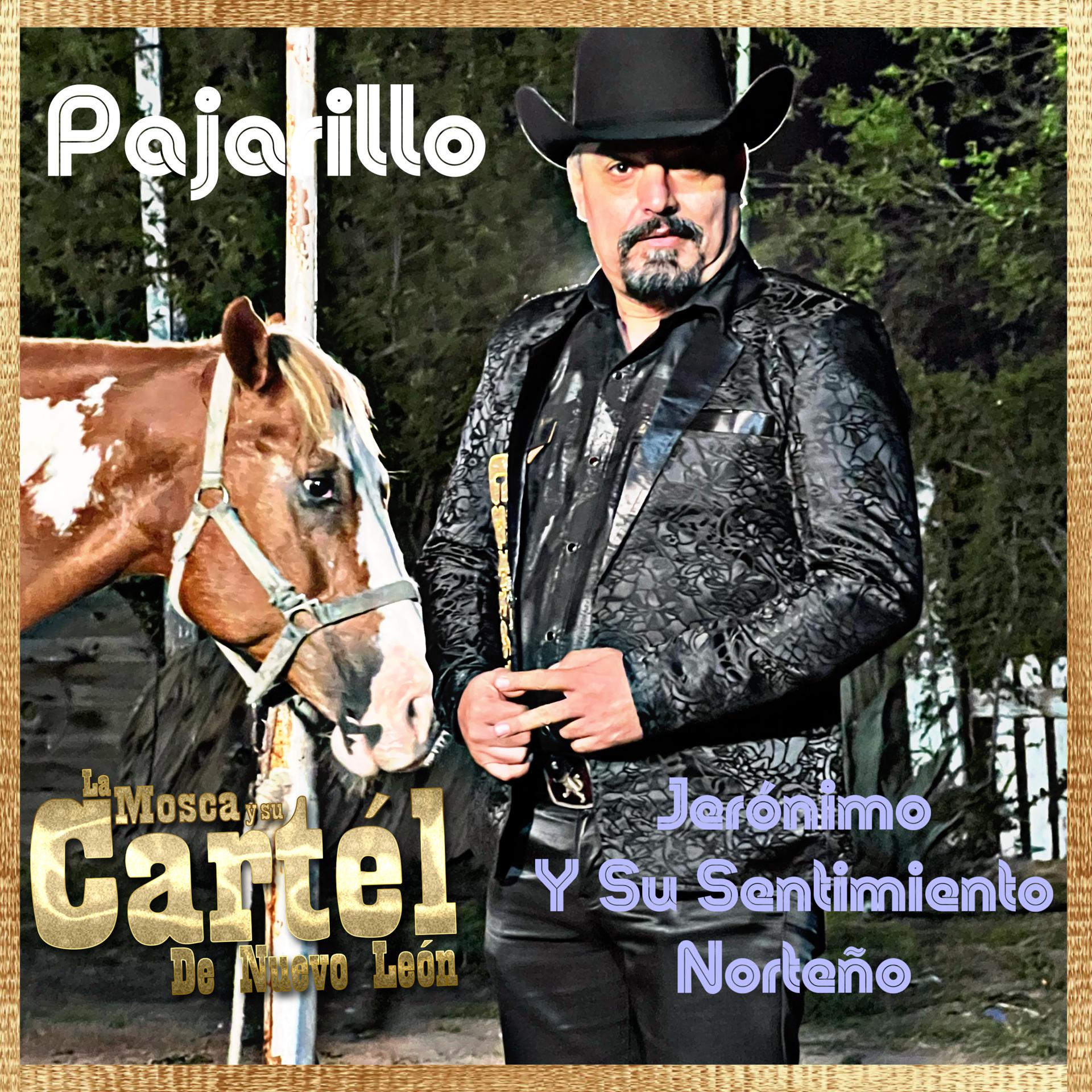 Постер альбома Pajarillo
