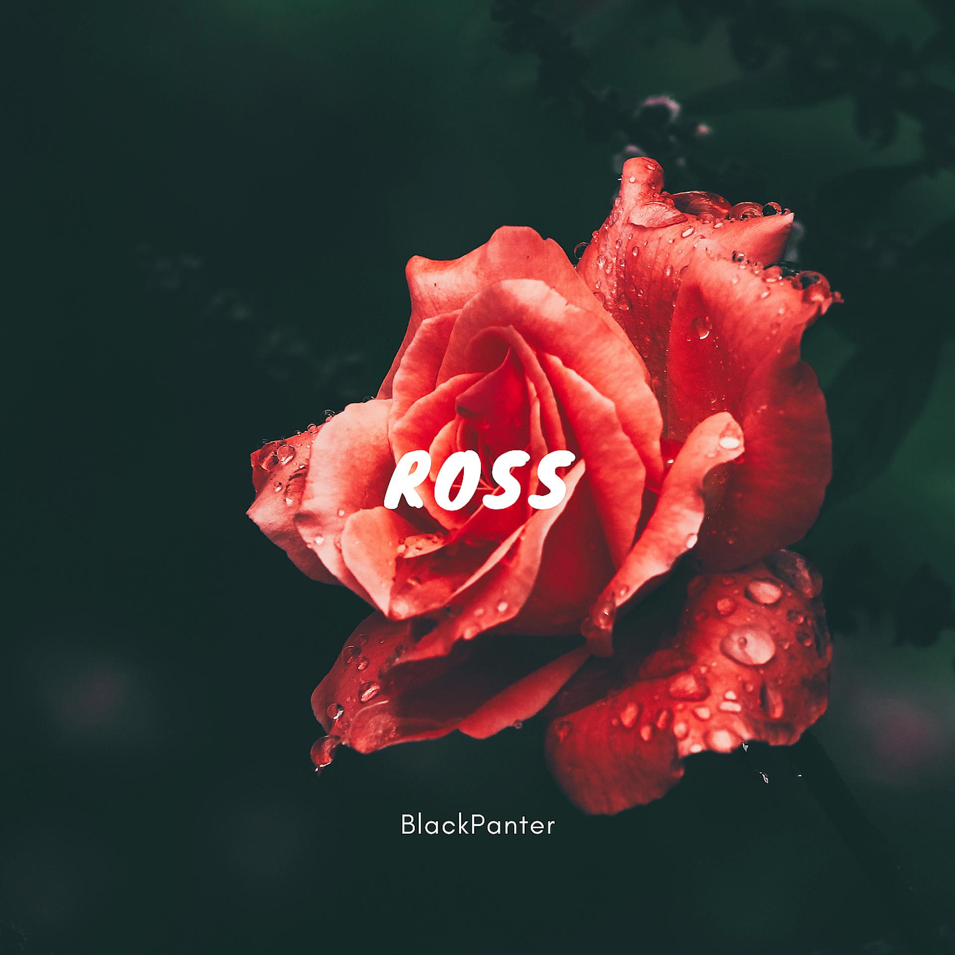 Постер альбома Ross