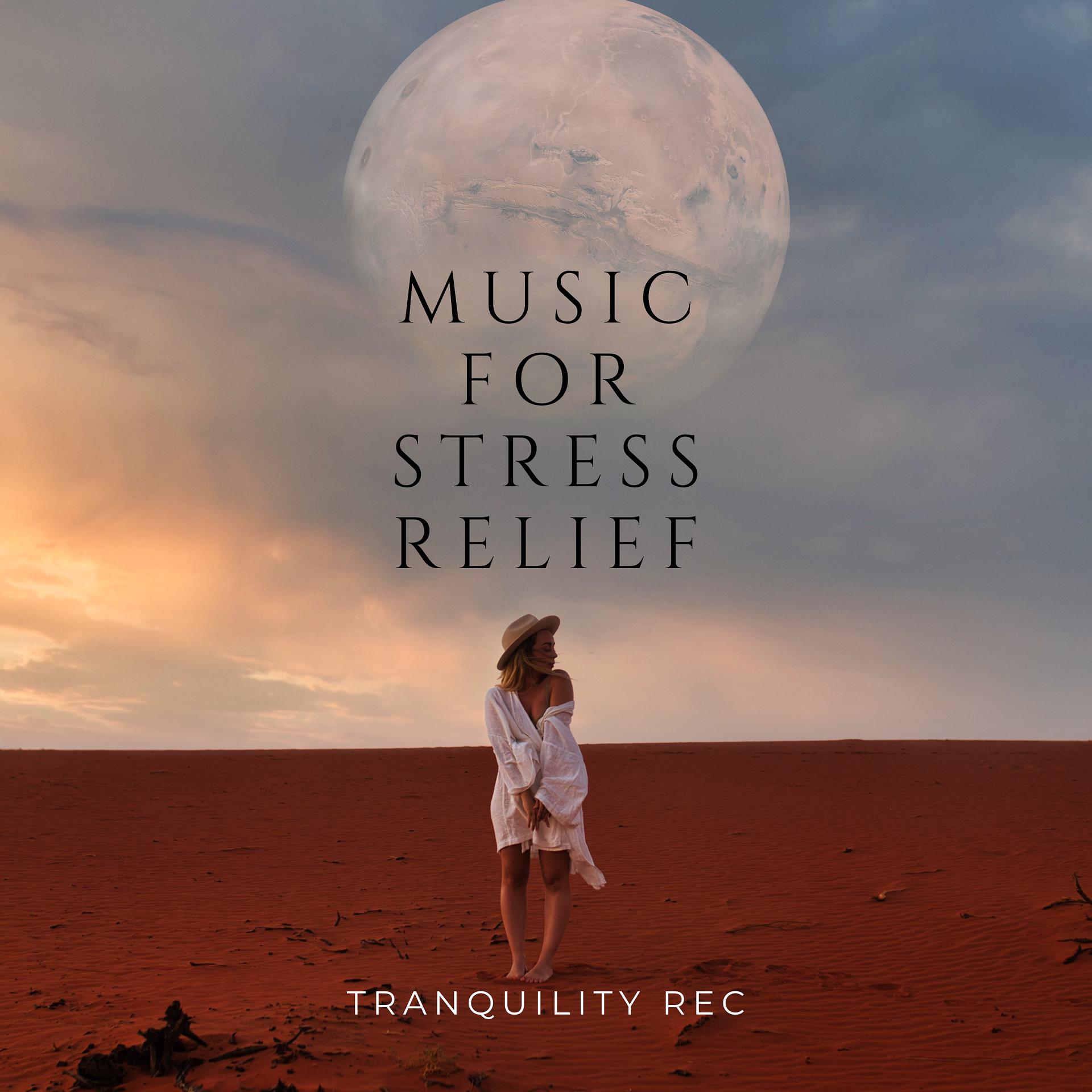 Постер альбома Music for Stress Relief