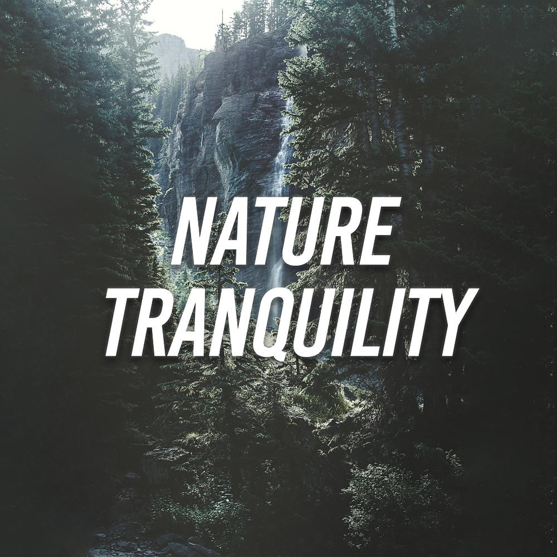 Постер альбома Nature Tranquility