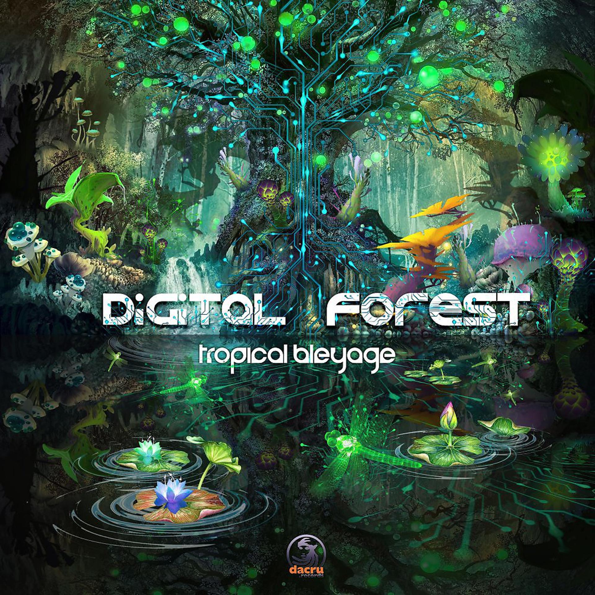 Постер альбома Digital Forest