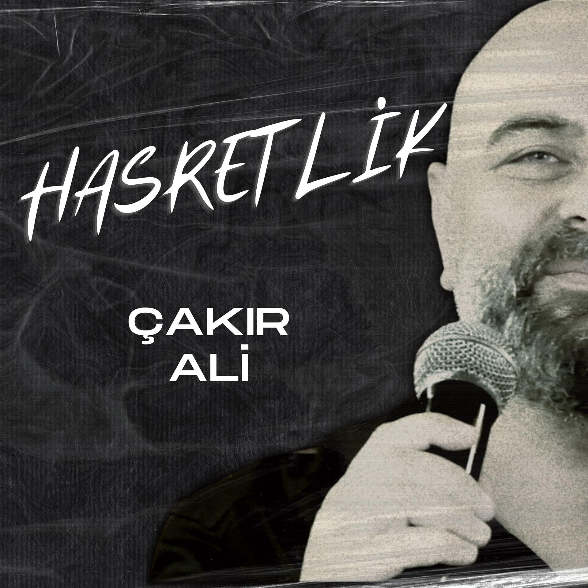 Постер альбома Hasretlik