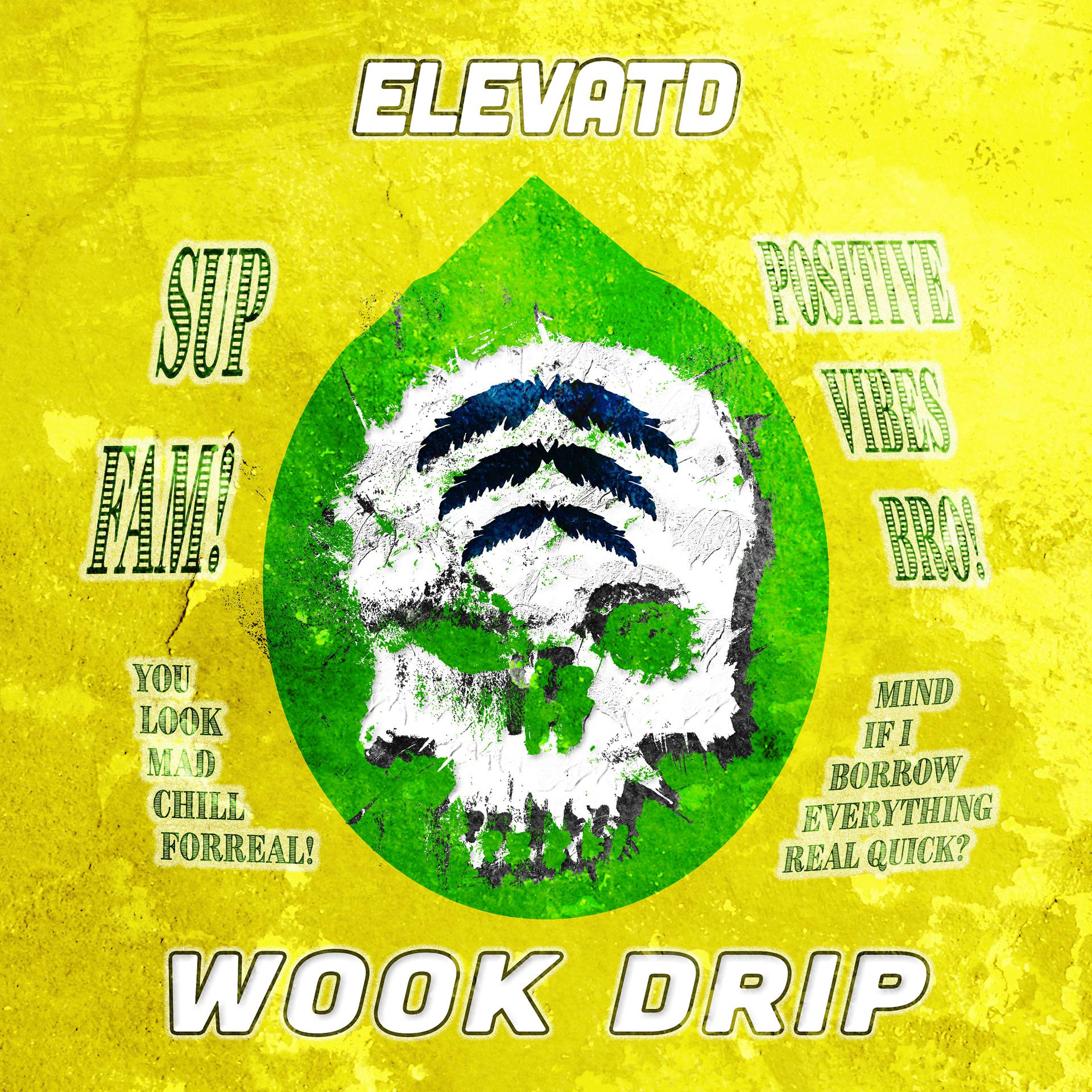 Постер альбома Wook Drip
