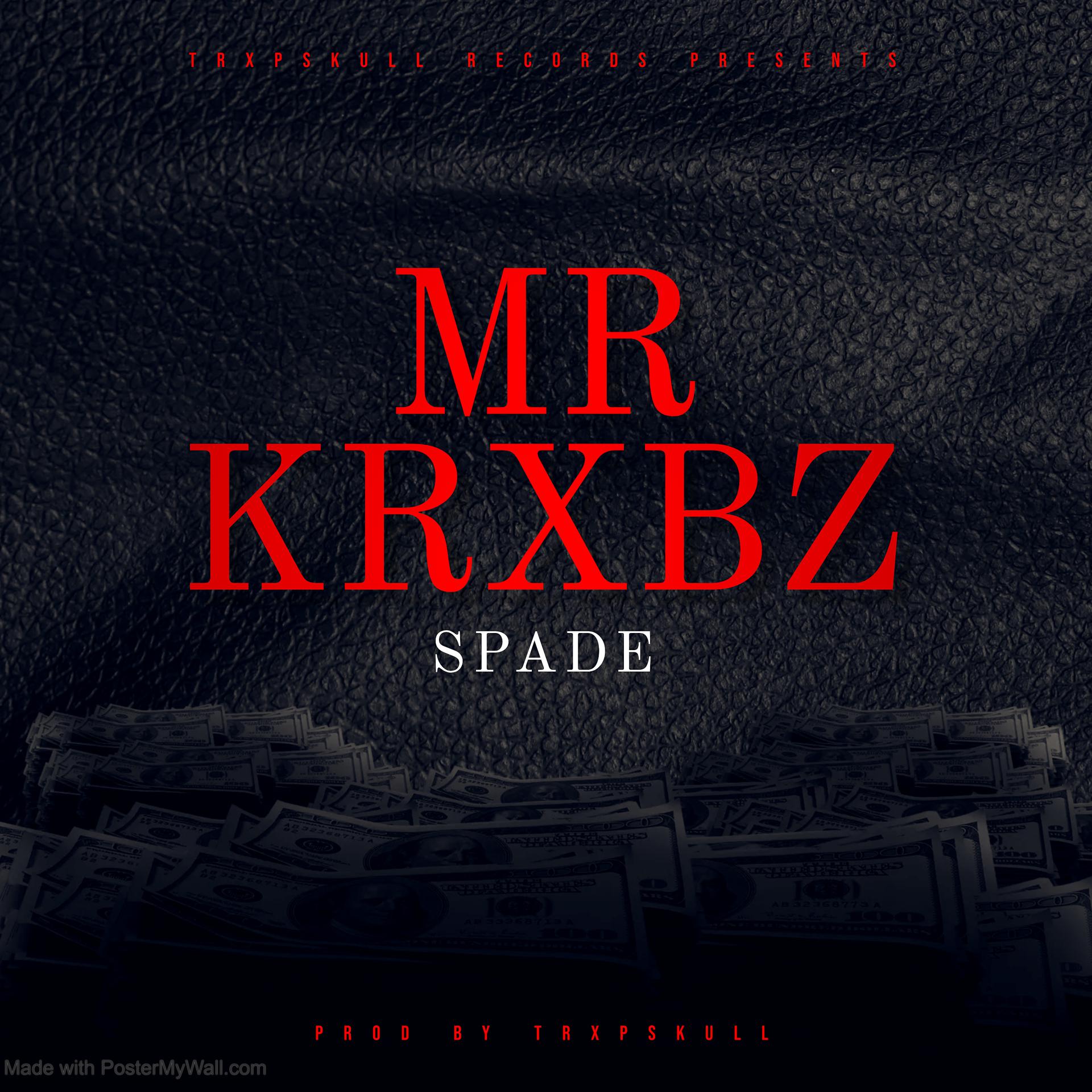 Постер альбома Mr Krxbs