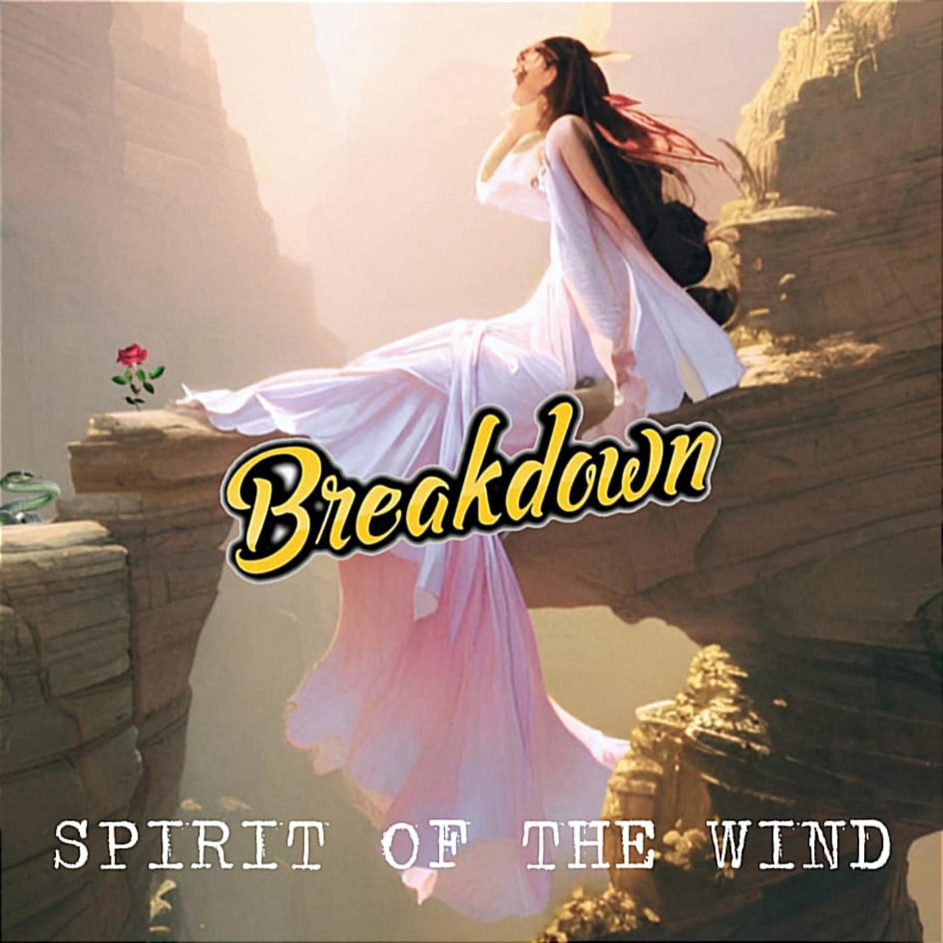 Постер альбома Spirit Of The Wind